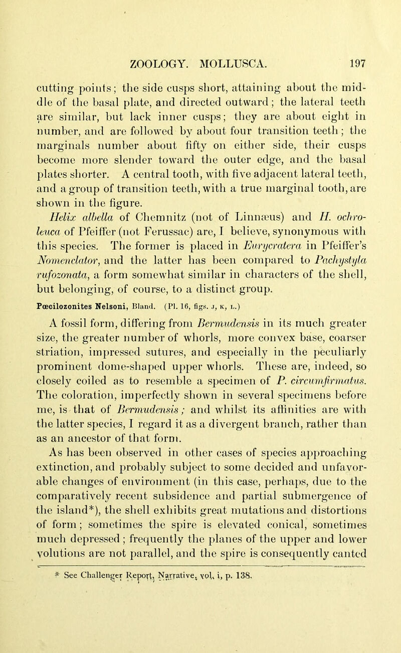 cutting points; the side cusps short, attaining about the mid- dle of the basal plate, and directed outward; the lateral teeth are similar, but lack inner cusps; they are about eight in number, and are followed by about four transition teeth; the marginals number about fifty on either side, their cusps become more slender toward the outer edge, and the basal plates shorter. A central tooth, with five adjacent lateral teeth, and a group of transition teeth, with a true marginal tooth, are shown in the figure. Helix albella of Chemnitz (not of Linnaeus) and Ii. ochro- leuca of Pfeiffer (not Ferussac) are, I believe, synonymous with this species. The former is placed in Eurycratera in Pfeiffer’s Nomenclator, and the latter has been compared to Pachystyla rufozonata, a form somewhat similar in characters of the shell, but belonging, of course, to a distinct group. Pceoilozonites Nelsoni, Bland. (PI. 16, figs, j, k, l.) A fossil form, differing from Bermudcnsis in its much greater size, the greater number of whorls, more convex base, coarser striation, impressed sutures, and especially in the peculiarly prominent dome-shaped upper whorls. These are, indeed, so closely coiled as to resemble a specimen of P. circumfirmatus. The coloration, imperfectly shown in several specimens before me, is that of Bermudensis; and whilst its affinities are with the latter species, I regard it as a divergent branch, rather than as an ancestor of that form. As has been observed in other cases of species approaching extinction, and probably subject to some decided and unfavor- able changes of environment (in this case, perhaps, due to the comparatively recent subsidence and partial submergence of the island*), the shell exhibits great mutations and distortions of form; sometimes the spire is elevated conical, sometimes much depressed ; frequently the planes of the upper and lower volutions are not parallel, and the spire is consequently canted ^ See Challenger Report, Narrative, yol, i, p. 138.