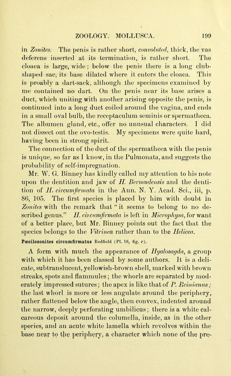 in Zonites. The penis is rather short, convoluted, thick, the vas deferens inserted at its termination, is rather short. The cloaca is large, wide ; below the penis there is a long club- shaped sac, its base dilated where it enters the cloaca. This is proably a dart-sack, although the specimens examined by me contained no dart. On the penis near its base arises a duct, which uniting with another arising opposite the penis, is continued into a long duct coiled around the vagina, and ends in a small oval bulb, the receptaculum seminis or spermatheca. The albumen gland, etc., offer no unusual characters. I did not dissect out the ovo-testis. My specimens were quite hard, having been in strong spirit. The connection of the duct of the spermatheca with the penis is unique, so far as I know, in the Pulmonata, and suggests the probability of self-impregnation. Mr. W. G. Binney has kindly called my attention to his note upon the dentition and jaw of H. Bermudensis and the denti- tion of II. circumfirmata in the Ann. N. Y. Acad. Sci., iii, p. 8G, 105. The first species is placed by him with doubt in Zonites with the remark that “ it seems to belong to no de- scribed genus.” H. circumfirmata is left in Microphysa, for want of a better place, but Mr. Binney points out the fact that the species belongs to the Vitrinea rather than to the Ilelicea. Poecilozonites circumfirmatus Redfield (PI. 16, fig. f). A form with much the appearance of Hyalosagda, a group with which it has been classed by some authors. It is a deli- cate, subtranslucent, yellowish-brown shell, marked with brown streaks, spots and flammules; the whorls are separated by mod- erately impressed sutures; the apex is like that of P. Remianus ; the last whorl is more or less angulate around the periphery, rather flattened below the angle, then convex, indented around the narrow, deeply perforating umbilicus; there is a white cal- careous deposit around the columella, inside, as in the other species, and an acute white lamella which revolves within the base near to the periphery, a character which none of the pre.-