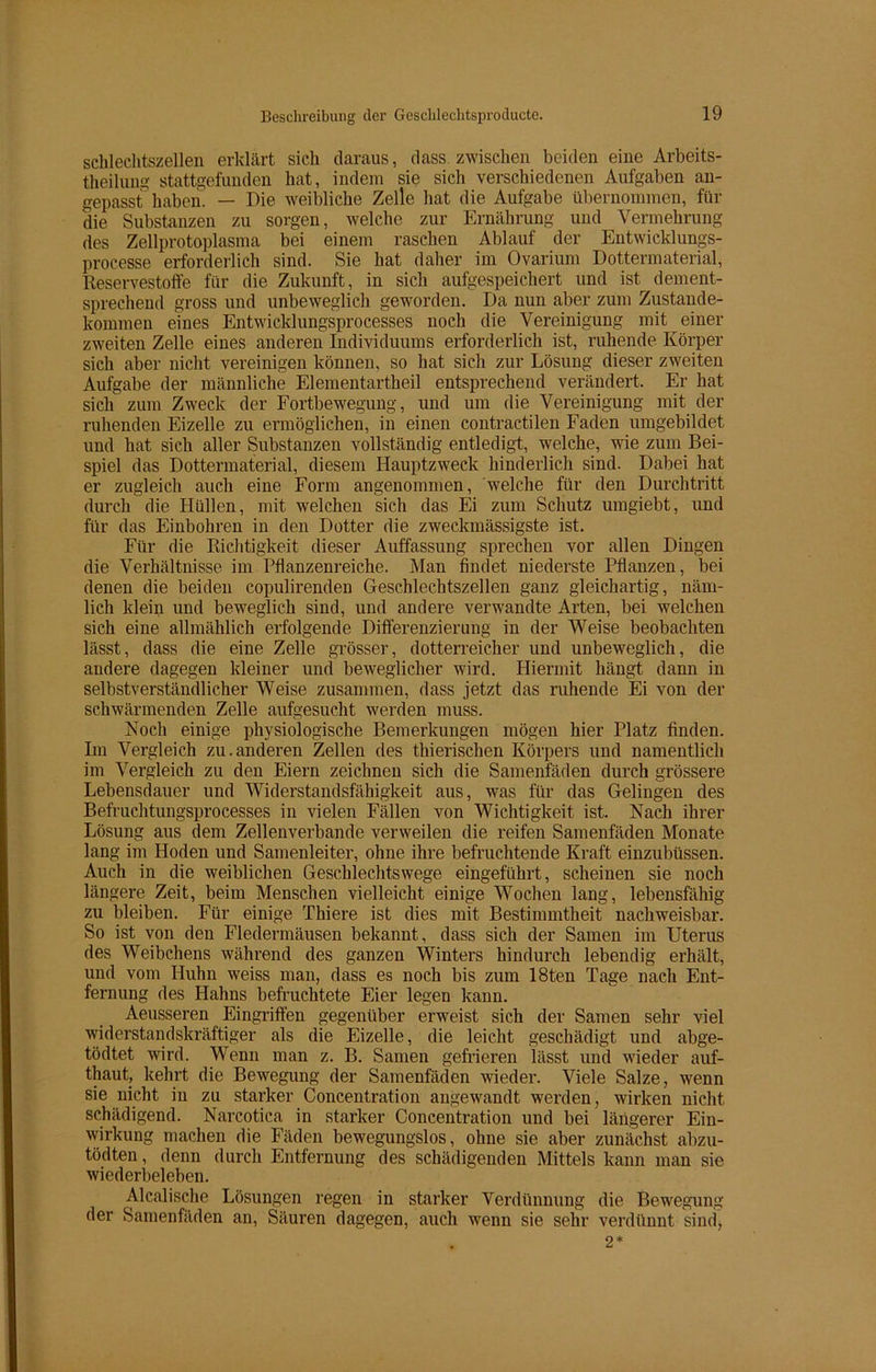 scblechtszellen erklärt sich daraus, dass zwischen beiden eine Arbeits- teilung stattgefunden hat, indem sie sich verschiedenen Aufgaben an- gepasst haben. — Die weibliche Zelle hat die Aufgabe übernommen, für die Substanzen zu sorgen, welche zur Ernährung und Vermehrung des Zellprotoplasma bei einem raschen Ablauf der Entwicklungs- processe erforderlich sind. Sie hat daher im Ovarium Dottermaterial, Reservestoffe für die Zukunft, in sich aufgespeichert und ist dement- sprechend gross und unbeweglich geworden. Da nun aber zum Zustande- kommen eines Entwicklungsprocesses noch die Vereinigung mit einer zweiten Zelle eines anderen Individuums erforderlich ist, ruhende Körper sich aber nicht vereinigen können, so hat sich zur Lösung dieser zweiten Aufgabe der männliche Elementartheil entsprechend verändert. Er hat sich zum Zweck der Fortbewegung, und um die Vereinigung mit der ruhenden Eizelle zu ermöglichen, in einen contractilen Faden umgebildet und hat sich aller Substanzen vollständig entledigt, welche, wie zum Bei- spiel das Dottermaterial, diesem Hauptzweck hinderlich sind. Dabei hat er zugleich auch eine Form angenommen, welche für den Durchtritt durch die Hüllen, mit welchen sich das Ei zum Schutz umgiebt, und für das Einbohren in den Dotter die zweckmässigste ist. Für die Richtigkeit dieser Auffassung sprechen vor allen Dingen die Verhältnisse im Pflanzenreiche. Man findet niederste Pflanzen, bei denen die beiden copulirenden Geschlechtszellen ganz gleichartig, näm- lich klein und beweglich sind, und andere verwandte Arten, bei welchen sich eine allmählich erfolgende Differenzierung in der Weise beobachten lässt, dass die eine Zelle grösser, dotterreicher und unbeweglich, die andere dagegen kleiner und beweglicher wird. Hiermit hängt dann in selbstverständlicher Weise zusammen, dass jetzt das ruhende Ei von der schwärmenden Zelle aufgesucht werden muss. Noch einige physiologische Bemerkungen mögen hier Platz finden. Im Vergleich zu.anderen Zellen des thierischen Körpers und namentlich im Vergleich zu den Eiern zeichnen sich die Samenfäden durch grössere Lebensdauer und Widerstandsfähigkeit aus, was für das Gelingen des Befruchtungsprocesses in vielen Fällen von Wichtigkeit ist. Nach ihrer Lösung aus dem Zellenverbande verweilen die reifen Samenfäden Monate lang im Hoden und Samenleiter, ohne ihre befruchtende Kraft einzubüssen. Auch in die weiblichen Geschlechtswege eingeführt, scheinen sie noch längere Zeit, beim Menschen vielleicht einige Wochen lang, lebensfähig zu bleiben. Für einige Thiere ist dies mit Bestimmtheit nachweisbar. So ist von den Fledermäusen bekannt, dass sich der Samen im Uterus des Weibchens während des ganzen Winters hindurch lebendig erhält, und vom Huhn weiss man, dass es noch bis zum 18ten Tage nach Ent- fernung des Hahns befruchtete Eier legen kann. Aeusseren Eingriffen gegenüber erweist sich der Samen sehr viel widerstandskräftiger als die Eizelle, die leicht geschädigt und abge- tödtet wird. Wenn man z. B. Samen gefrieren lässt und wieder auf- thaut, kehrt die Bewegung der Samenfäden wieder. Viele Salze, wenn sie nicht in zu starker Concentration angewandt werden, wirken nicht schädigend. Narcotica in starker Concentration und bei längerer Ein- wirkung machen die Fäden bewegungslos, ohne sie aber zunächst abzu- tödten, denn durch Entfernung des schädigenden Mittels kann man sie wiederbeleben. Alcalische Lösungen regen in starker Verdünnung die Bewegung der Samenfäden an, Säuren dagegen, auch wenn sie sehr verdünnt sind, 2*