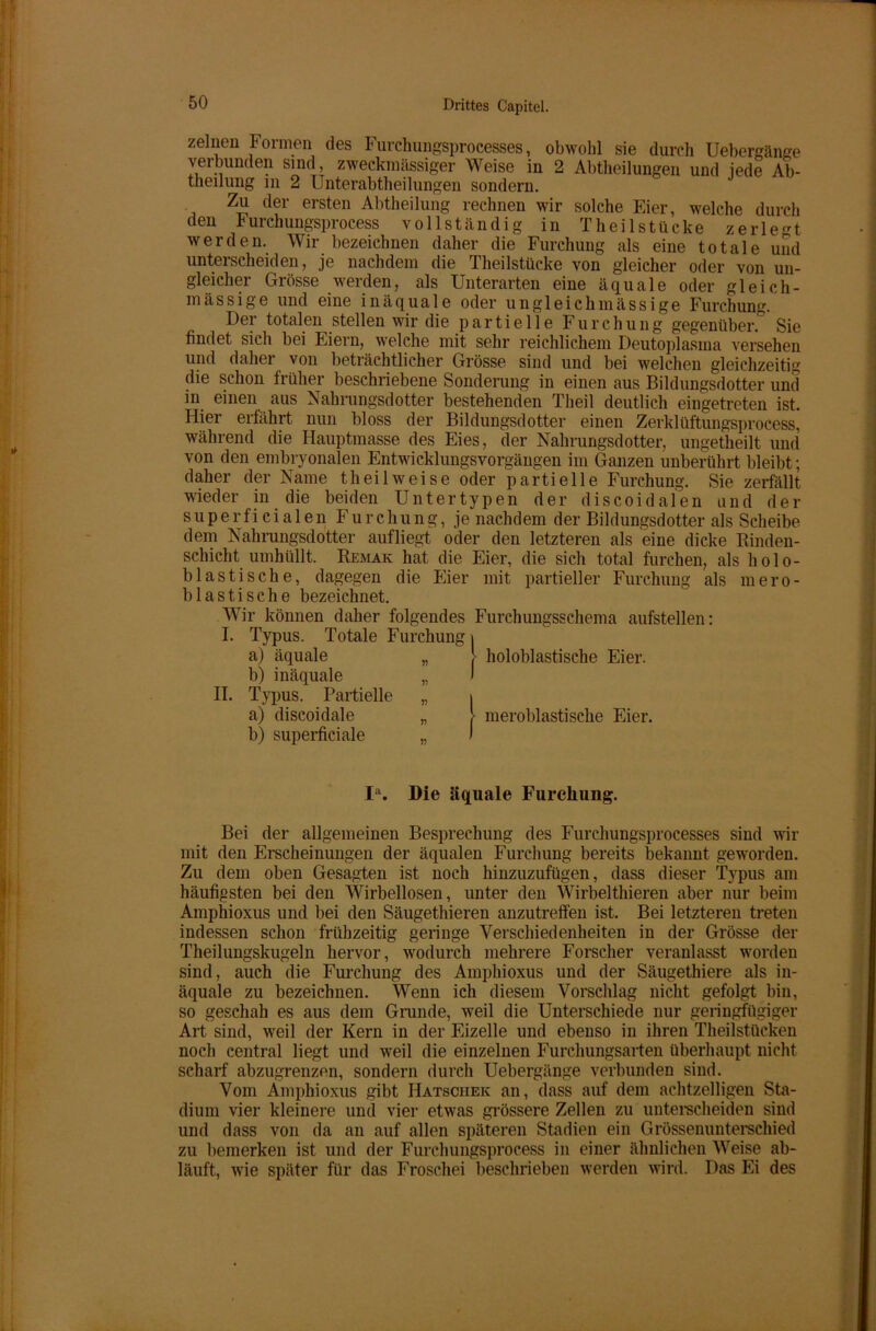 zellten Formen des Furchungsprocesses, obwohl sie durch Uebergänge verbunden sind, zweckmässiger Weise in 2 Abtheilungen und jede Ab- theilung m 2 Unterabtheilungen sondern. Zu der ersten Abtheilung rechnen wir solche Eier, welche durch den Furchungsprocess vollständig in T heil stücke zerlegt werden. Wir bezeichnen daher die Furchung als eine totale und unterscheiden, je nachdem die Theilstücke von gleicher oder von un- gleicher Grösse werden, als Unterarten eine äquale oder gleiCh- inas si ge und eine in äquale oder un gleich nt ässige Furchung. Der totalen stellen wir die partielle Furchung gegenüber. Sie findet sich bei Eiern, welche mit sehr reichlichem Deutoplasma versehen und daher von beträchtlicher Grösse sind und bei welchen gleichzeitig die schon früher beschriebene Sonderung in einen aus Bildungsdotter und in einen aus Nahrungsdotter bestehenden Theil deutlich eingetreten ist. Hier erfährt nun bloss der Bildungsdotter einen Zerklüftungsprocess, während die Hauptmasse des Eies, der Nahrungsdotter, ungetheilt und von den embryonalen Entwicklungsvorgängen im Ganzen unberührt bleibt; daher der Name theil weise oder partielle Furchung. Sie zerfällt wieder in die beiden Untertypen der discoidalen und der superficialen Furchung, je nachdem der Bildungsdotter als Scheibe dem Nahrungsdotter aufliegt oder den letzteren als eine dicke Binden- schicht umhüllt. Remak hat die Eier, die sich total furchen, als holo- blastische, dagegen die Eier mit partieller Furchung als mero- blastische bezeichnet. Wir können daher folgendes Furchungsschema aufstellen: I. Typus. Totale Furchung i a) äquale „ I b) inäquale „ J II. Typus. Partielle „ a) discoidale „ ' meroblastische Eier. b) superficiale „ holoblastische Eier. Ia. Die äquale Furchung. Bei der allgemeinen Besprechung des Furchungsprocesses sind wir mit den Erscheinungen der äqualen Furchung bereits bekannt geworden. Zu dem oben Gesagten ist noch hinzuzufügen, dass dieser Typus am häufigsten bei den Wirbellosen, unter den Wirbelthieren aber nur beim Amphioxus und bei den Säugethieren anzutreffen ist. Bei letzteren treten indessen schon frühzeitig geringe Verschiedenheiten in der Grösse der Theilungskugeln hervor, wodurch mehrere Forscher veranlasst worden sind, auch die Furchung des Amphioxus und der Säugethiere als in- äquale zu bezeichnen. Wenn ich diesem Vorschlag nicht gefolgt bin, so geschah es aus dem Grande, weil die Unterschiede nur geringfügiger Art sind, weil der Kern in der Eizelle und ebenso in ihren Theilstücken noch central liegt und weil die einzelnen Furchungsarten überhaupt nicht scharf abzugrenzen, sondern durch Uebergänge verbunden sind. Vom Amphioxus gibt Hatschek an, dass auf dem achtzelligen Sta- dium vier kleinere und vier etwas grössere Zellen zu unterscheiden sind und dass von da an auf allen späteren Stadien ein Grössenunterschied zu bemerken ist und der Furchungsprocess in einer ähnlichen Weise ab- läuft, wie später für das Froschei beschrieben werden wird. Das Ei des