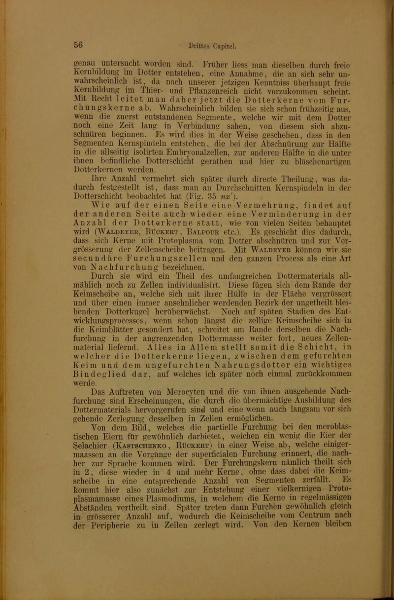 genau untersucht worden sind. Früher liess man dieselben durch freie Kernbildung im Dotter entstehen, eine Annahme, die an sich sehr un- wahrscheinlich ist, da nach unserer jetzigen Kenntniss überhaupt freie Kernbildung im Thier- und Pflanzenreich nicht vorzukommen scheint. Mit Hecht leitet man daher jetzt die Dotterkerne vom Fur- chungskerne ab. Wahrscheinlich bilden sie sich schon frühzeitig aus, wenn die zuerst entstandenen Segmente, welche wir mit dem Dotter noch eine Zeit lang in Verbindung sahen, von diesem sich abzu- schnüren beginnen. Es wird dies in der Weise geschehen, dass in den Segmenten Kernspindeln entstehen, die bei der Abschnürung zur Hälfte in die allseitig isolirten Embryonalzellen, zur anderen Hälfte in die unter ihnen befindliche Dotterschicht gerathen und hier zu bläschenartigen Dotterkernen werden. Ihre Anzahl vermehrt sich später durch directe Theilung, was da- durch festgestellt ist, dass man an Durchschnitten Kernspindeln in der Dotterschicht beobachtet hat (Fig. 35 nx). Wie auf der einen Seite eine Vermehrung, findet auf der anderen Seite auch wieder eine Verminderung in der Anzahl der Dotter kerne statt, wie von vielen Seiten behauptet wird (Waldeyer, Rückert, Balfour etc.). Es geschieht dies dadurch, dass sich Kerne mit Protoplasma vom Dotter abschnüren und zur Ver- grösserung der Zellenscheibe beitragen. Mit Waldeyer können wir sie secundäre Furchungszellen und den ganzen Process als eine Art von N a c h f u r c h u n g bezeichnen. Durch sie wird ein Theil des umfangreichen Dottermaterials all- mählich noch zu Zellen individualisirt. Diese fügen sich dem Rande der Keimscheibe an, welche sich mit ihrer Hülfe in der Fläche vergrössert und über einen immer ansehnlicher werdenden Bezirk der ungetheilt blei- benden Dotterkugel herüberwächst. Noch auf späten Stadien des Ent- wicklungsprocesses, wenn schon längst die zellige Keimscheibe sich in die Keimblätter gesondert hat, schreitet am Rande derselben die Nach- furchung in der angrenzenden Dottermasse weiter fort, neues Zellen- material liefernd. Alles in Allem stellt somit die Schicht, in welcher die Dotterkerne liegen, zwischen dem gefurchten Keim und dem ungefurchten Nahrungsdotter ein wichtiges Bindeglied dar, auf welches ich später noch einmal zurückkommen werde. Das Auftreten von Merocyten und die von ihnen ausgehende Nach- furchung sind Erscheinungen, die durch die übermächtige Ausbildung des Dottermaterials hervorgerufen sind und eine wenn auch langsam vor sich gehende Zerlegung desselben in Zellen ermöglichen. Von dem Bild, welches die partielle Furchung bei den meroblas- tischen Eiern für gewöhnlich darbietet, weichen ein wenig die Eier der Selachier (Kastschenko, Rückert) in einer Weise ab, welche einiger- maassen an die Vorgänge der superficialen Furchung erinnert, die nach- her zur Sprache kommen wird. Der Furchungskern nämlich theilt^ sich in 2, diese wieder in 4 und mehr Kerne, ohne dass dabei die Keim- scheibe in eine entsprechende Anzahl von Segmenten zerfällt. Es kommt hier also zunächst zur Entstehung einer vielkernigen Proto- plasmamasse eines Plasmodiums, in welchem die Kerne in regelmässigen Abständen vertheilt sind. Später treten dann Furchen gewöhnlich gleich in grösserer Anzahl auf, wodurch die Keimscheibe vom Centrum nach der Peripherie zu in Zellen zerlegt wird. Von den Kernen bleiben