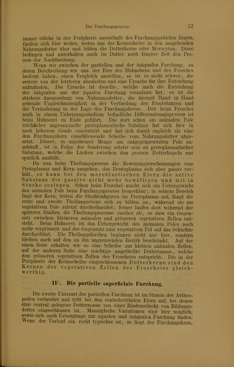 immer etliche in der Peripherie ausserhalb des Furchungsgebietes liegen, theilen sich hier weiter, treten aus der Keimscheibe in den umgebenden Nahrungsdotter über und bilden die Dotterkerne oder Merocyten. Diese bedingen und unterhalten auch im Dotter noch längere Zeit den Pro- cess der Nachfurchung. Wenn wir zwischen der partiellen und der inäqualen Furchung, zu deren Beschreibung wir uns der Eier des Hühnchens und des Frosches bedient haben, einen Vergleich anstellen, so ist es nicht schwer, die erstere von der letzteren abzuleiten und eine Ursache für ihre Entstehung aufzufinden. Die Ursache ist dieselbe, welche auch die Entstehung der inäqualen aus der äqualen Furchung veranlasst hat, es ist die stärkere Ansammlung von Nahrungsdotter, die hiermit Hand in Hand gehende Ungleichmässigkeit in der Vertheilung der Eisubstanzen und die Veränderung in der Lage des Furchungskerns. Der beim Froschei noch in einem Uebergangsstadium befindliche Differenzirungsprocess ist beim Hühnerei zu Ende geführt. Die dort schon am animalen Pole reichlicher angesammelte protoplasmatische Substanz hat sich hier in noch höherem Grade concentrirt und hat sich damit zugleich als eine den Furchungskern einschliessende Scheibe vom Nahrungsdotter abge- setzt. Dieser, in ungeheurer Menge am entgegengesetzten Pole an- gehäuft, ist in Folge der Sonderung relativ arm an protoplasmatischer Substanz, welche die Lücken zwischen den grossen Dotterkugeln nur spärlich ausfüllt. Da nun beim Theilungsprocess die Bewegungserscheinungen vom Protoplasma und Kern ausgehen, das Deutoplasma sich aber passiv ver- hält , so kann bei den meroblastischen Eiern die active Substanz die passive nicht mehr bewältigen und mit in Stücke zerlegen. Schon beim Froschei macht sich ein Uebergewicht des animalen Pols beim Furchungsprocess bemerkbar; in seinem Bereich liegt der Kern, treten die Strahlenfiguren im Protoplasma auf, fängt die erste und zweite Theilungsebene sich zu bilden an, während sie am vegetativen Pole zuletzt durchschneidet; ferner laufen dort während der späteren Stadien die Theilungsprocesse rascher ab, so dass ein Gegen- satz zwischen kleineren animalen und grösseren vegetativen Zellen ent- steht. Beim Hühnerei ist das Uebergewicht des animalen Poles noch mehr vergrössert und der Gegensatz zum vegetativen Pol auf das Schärfste durchgeführt. Die Th ei lungsfurchen beginnen nicht nur hier, sondern bleiben auch auf den an ihn angrenzenden Bezirk beschränkt. Auf der einen Seite erhalten wir so eine Scheibe aus kleinen animalen Zellen, auf der anderen Seite eine mächtige ungetheilte Dottermasse, welche den grösseren vegetativen Zellen des Froscheies entspricht. Die in der Peripherie der Keimscheibe eingeschlossenen Dotter kerne sind den Kernen der vegetativen Zellen des Froscheies gl eich - werth i g. IIb. Die partielle superficiale Furcliuug. Die zweite Unterart der partiellen Furchung ist im Stamm der Arthro- poden verbreitet und tritt bei den centrolecithalen Eiern auf, bei denen eme central gelegene Dottermasse von einer Rindenschicht von Bildungs- dotter eingeschlossen ist. Mannigfache Variationen sind hier möglich, sowie sich auch Uebergänge zur äqualen und inäqualen Furchung finden. Wenn der Verlauf ein recht typischer ist, so liegt der Furchungskern,