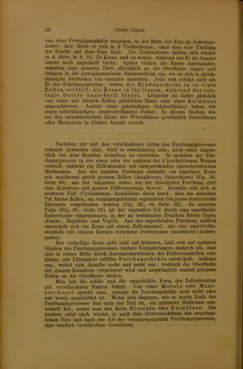 von einer Protoplasmahülle umgeben, in der Mitte des Eies im Nahrungs- dotter; hier theilt er sich in 2 Tochterkerne, ohne dass eine Theiluug der Eizelle aut dem Fuss folgt. Die Tochterkerne theilen sich wieder in 4, diese in 8, 16, 32 Kerne und so weiter, während das Ei als Ganzes immer noch ungetheilt bleibt. Später rücken die Kerne auseinander, wandern zum grössten Theil allmählich an die Oberfläche empor und dringen in die protoplasmatische Rindenschicht ein, wo sie sich in gleich- mässigen Abständen von einander anordnen. Jetzt erst erfolgt auch am Ei der Furchungsprocess, indem die Rindenschicht in so viele Zellen zerfällt, als Kerne in ihr liegen, während der cen- trale Dotter ungetheilt bleibt. Letzterer ist daher plötzlich von einer aus kleinen Zellen gebildeten Blase oder einer Keimhaut eingeschlossen. Anstatt eines polständigen (telolecithalen) haben wir einen mittelständigen (centrolecithalen) Dotter. In diesem bleiben wie bei den meroblastischen Eiern der Wirbelthiere gewöhnlich Dotterkerne oder Merocyten in kleiner Anzahl zurück. Nachdem wir mit den verschiedenen Arten des Furchungsprocesses bekannt geworden sind, wird es zweckmässig sein, noch einen Augen- blick bei dem Resultat desselben zu verweilen. Je nachdem der Fur- chungsprocess in der einen oder der anderen der 4 beschriebenen Weisen verläuft, entsteht ein Zellenhaufen mit entsprechenden characteristischen Merkmalen. Aus der äqualen Furchung entsteht ein kugeliger Keim mit annähernd gleich grossen Zellen (Amphioxus, Säugethiere) (Fig. 30, Seite 49), aus der inäqualen sowie aus der discoidalen Furchung geht eine Keimform mit polarer Differenzirung hervor. Dieselbe gibt sich in ersterem Fall (Cyclostomen, Amphibien) darin kund, dass am animalen Pol kleine Zellen, am entgegengesetzten vegetativen Pol grosse dotterreiche Elemente vorgefunden werden (Fig. 32 , 64, Seite 52). Im anderen Falle (Fig. 35, Seite 55) ist der vegetative Pol durch eine ungetheilte Dottermasse eingenommen, in der an bestimmten Bezirken Kerne liegen (Fische, Reptilien und Vögel). Aus der superficialen Furchung endlich entwickelt sich ein Keim mit einem Zellenmantel, der eine ungetheilte, ebenfalls mit einigen Kernen versehene Dottermasse umschliesst (Arthro- poden). Der vielzellige Keim geht bald auf früheren, bald erst auf späteren Stadien des Furchungsprocesses weitere Veränderungen dadurch ein, dass sich in seiner Mitte durch Auseinanderweichen der Embryonalzellen eine kleine, mit Flüssigkeit erfüllte Furchungshöhle entwickelt. Anfangs eng, weitet sich dieselbe mehr und mehr aus, wodurch die Oberfläche der ganzen Keimform vergrössert wird und ursprünglich central gelegene Zellen an die Oberfläche rücken. Man hat die solide und die ausgehöhlte Form des Zellenhaufens mit verschiedenen Namen belegt. Von einer Morula oder Maul- beerkugel spricht man, solange die Furchungshöhle noch nicht oder nur wenig ausgebildet ist. Wenn sich dagegen, wie es gegen Ende des Furchungsprocesses fast stets der Fall ist, ein grösserer Hohlraum ent- wickelt hat, nennt man den Keim Blastula oder Keim blase. Die letztere zeigt auch wieder, je nach dem Dotterreichthum des ursprüng- lichen Eies und nach der Art des vorausgegangenen Furchungsprocesses, eine vierfach verschiedene Gestaltung.