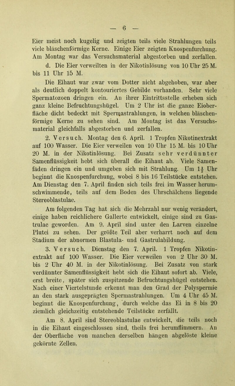 Eier meist noch kugelig und zeigten teils viele Strahlungen teils viele bläschenförmige Kerne. Einige Eier zeigten Knospenfurchung. Am Montag war das Versuchsmaterial abgestorben und zerfallen. d. Die Eier verweilten in der Nikotinlösung von 10 Uhr 25 M. bis 11 Uhr 15 M. Die Eihaut war zwar vom Dotter nicht abgehoben, war aber als deutlich doppelt kontouriertes Gebilde vorhanden. Sehr viele Spermatozoen dringen ein. An ihrer Eintrittsstelle erheben sich ganz kleine Befruchtungshügel. Um 2 Uhr ist die ganze Eiober- fläche dicht bedeckt mit Spernjastrahlungen, in welchen bläschen- förmige Kerne zu sehen sind. Am Montag ist das Versuchs- material gleichfalls abgestorben und zerfallen. 2. Versuch. Montag den 6. April. 1 Tropfen Nikotinextrakt auf 100 Wasser. Die Eier verweilen von 10 Uhr 15 M. bis 10 Uhr 20 M. in der Nikotinlösung. Bei Zusatz sehr verdünnter Samenflüssigkeit hebt sich überall die Eihaut ab. Viele Samen- fäden dringen ein und umgeben sich mit Strahlung. Um 1| Uhr beginnt die Knospenfurchung, wobei 8 bis 16 Teilstücke entstehen. Am Dienstag den 7. April finden sich teils frei im Wasser herum- schwimmende, teils auf dem Boden des Uhrschälchens liegende Stereoblastulae. Am folgenden Tag hat sich die Mehrzahl nur wenig verändert, einige haben reichlichere Gallerte entwickelt, einige sind zu Gas- trulae geworden. Am 9. April sind unter den Larven einzelne Plutei zu sehen. Der größte Teil aber verharrt noch auf dem Stadium der abnormen Blastula- und Gastrulabildung. 3. Versuch. Dienstag den 7. April. 1 Tropfen Nikotin- extrakt auf 100 Wasser. Die Eier verweilen von 2 Uhr 30 M. bis 2 Uhr 40 M. in der Nikotinlösung. Bei Zusatz Von stark verdünnter Samenflüssigkeit hebt sich die Eihaut sofort ab. Viele, erst breite, später sich zuspitzende Befruchtungshügel entstehen. Nach einer Viertelstunde erkennt man den Grad der Polyspermie an den stark ausgeprägten Spermastrahlungen. Um 4 Uhr 45 M. beginnt die Knospenfurchung, durch welche das Ei in 8 bis 20 ziemlich gleichzeitig entstehende Teilstiicke zerfällt. Am 8. April sind Stereoblastulae entwickelt, die teils noch in die Eihaut eingeschlossen sind, theils frei herumflimmern. An der Oberfläche von manchen derselben hängen abgelöste kleine gekörnte Zellen.