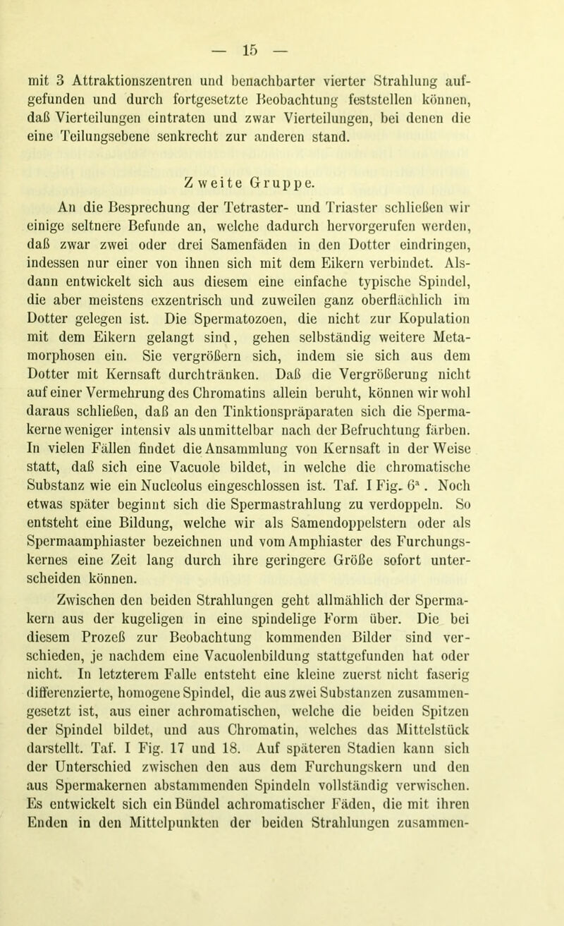 mit 3 Attraktionszentren und benachbarter vierter Strahlung auf- gefunden und durch fortgesetzte Beobachtung feststellen können, daß Vierteilungen eintraten und zwar Vierteilungen, hei denen die eine Teilungsebene senkrecht zur anderen stand. Zweite Gruppe. An die Besprechung der Tetraster- und Triaster schließen wir einige seltnere Befunde an, welche dadurch hervorgerufen werden, daß zwar zwei oder drei Samenfäden in den Dotter eindringen, indessen nur einer von ihnen sich mit dem Eikern verbindet. Als- dann entwickelt sich aus diesem eine einfache typische Spindel, die aber meistens exzentrisch und zuweilen ganz oberflächlich im Dotter gelegen ist. Die Spermatozoen, die nicht zur Kopulation mit dem Eikern gelangt sind, gehen selbständig weitere Meta- morphosen ein. Sie vergrößern sich, indem sie sich aus dem Dotter mit Kernsaft durchtränken. Daß die Vergrößerung nicht auf einer Vermehrung des Chromatins allein beruht, können wir wohl daraus schließen, daß an den Tinktionspräparaten sich die Sperma- kerne weniger intensiv als unmittelbar nach der Befruchtung färben. In vielen Fällen findet die Ansammlung von Kernsaft in der Weise statt, daß sich eine Vacuole bildet, in welche die chromatische Substanz wie ein Nucleolus eingeschlossen ist. Taf. I Fig. Ga. Noch etwas später beginnt sich die Spermastrahlung zu verdoppeln. So entsteht eine Bildung, welche wir als Samendoppelstern oder als Spcrmaamphiaster bezeichnen und vom Amphiaster des Furchungs- kernes eine Zeit lang durch ihre geringere Größe sofort unter- scheiden können. Zwischen den beiden Strahlungen geht allmählich der Sperma- kern aus der kugeligen in eine spindelige Form über. Die bei diesem Prozeß zur Beobachtung kommenden Bilder sind ver- schieden, je nachdem eine Vacuolenbildung stattgefunden hat oder nicht. In letzterem Falle entsteht eine kleine zuerst nicht faserig differenzierte, homogene Spindel, die aus zwei Substanzen zusammen- gesetzt ist, aus einer achromatischen, welche die beiden Spitzen der Spindel bildet, und aus Chromatin, welches das Mittelstück darstellt. Taf. I Fig. 17 und 18. Auf späteren Stadien kann sich der Unterschied zwischen den aus dem Furchungskern und den aus Spermakernen abstammenden Spindeln vollständig verwischen. Es entwickelt sich ein Bündel achromatischer Fäden, die mit ihren Enden in den Mittelpunkten der beiden Strahlungen zusammen-