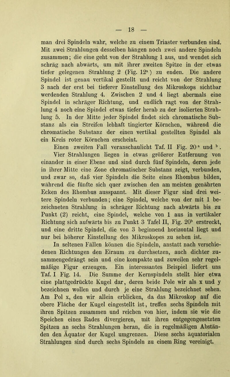 man drei Spindeln wahr, welche zu einem Triaster verbunden sind. Mit zwei Strahlungen desselben hängen noch zwei andere Spindeln zusammen; die eine geht von der Strahlung 1 aus, und wendet sich schräg nach abwärts, um mit ihrer zweiten Spitze in der etwas tiefer gelegenen Strahlung 2 (Fig. 12a) zu enden. Die andere Spindel ist genau vertikal gestellt und reicht von der Strahlung 3 nach der erst bei tieferer Einstellung des Mikroskops sichtbar werdenden Strahlung 4. Zwischen 2 und 4 liegt abermals eine Spindel in schräger Richtung, und endlich ragt von der Strah- lung 4 noch eine Spindel etwas tiefer herab zu der isolierten Strah- lung 5. In der Mitte jeder Spindel findet sich chromatische Sub- stanz als ein Streifen lebhaft tingierter Körnchen, während die chromatische Substanz der einen vertikal gestellten Spindel als ein Kreis roter Körnchen erscheint. Einen zweiten Fall veranschaulicht Taf. II Fig. 20a und b. Vier Strahlungen liegen in etwas größerer Entfernung von einander in einer Ebene und sind durch fünf Spindeln, deren jede in ihrer Mitte eine Zone chromatischer Substanz zeigt, verbunden, und zwar so, daß vier Spindeln die Seite eines Rhombus bilden, während die fünfte sich quer zwischen den am meisten genährten Ecken des Rhombus ausspannt. Mit dieser Figur sind drei wei- tere Spindeln verbunden; eine Spindel, welche von der mit 1 be- zeichneten Strahlung in schräger Richtung nach abwärts bis zu Punkt (2) reicht, eine Spindel, welche von 1 aus in vertikaler Richtung sich aufwärts bis zu Punkt 3 Tafel II, Fig. 20b erstreckt, und eine dritte Spindel, die von 3 beginnend horizontal liegt und nur bei höherer Einstellung des Mikroskopes zu sehen ist. In seltenen Fällen können die Spindeln, anstatt nach verschie- denen Richtungen den Eiraum zu durchsetzen, auch dichter zu- sammengedrängt sein und eine kompakte und zuweilen sehr regel- mäßige Figur erzeugen. Ein interessantes Beispiel liefert uns Taf. I Fig. 14. Die Summe der Kernspindeln stellt hier etwa eine plattgedrückte Kugel dar, deren beide Pole wir als x und y bezeichnen wollen und durch je eine Strahlung bezeichnet sehen. Am Pol x, den wir allein erblicken, da das Mikroskop auf die obere Fläche der Kugel eingestellt ist, treffen sechs Spindeln mit ihren Spitzen zusammen und reichen von hier, indem sie wie die Speichen eines Rades divergieren, mit ihren entgegengesetzten Spitzen an sechs Strahlungen heran, die in regelmäßigen Abstän- den den Äquator der Kugel umgrenzen. Diese sechs äquatorialen Strahlungen sind durch sechs Spindeln zu einem Ring vereinigt.