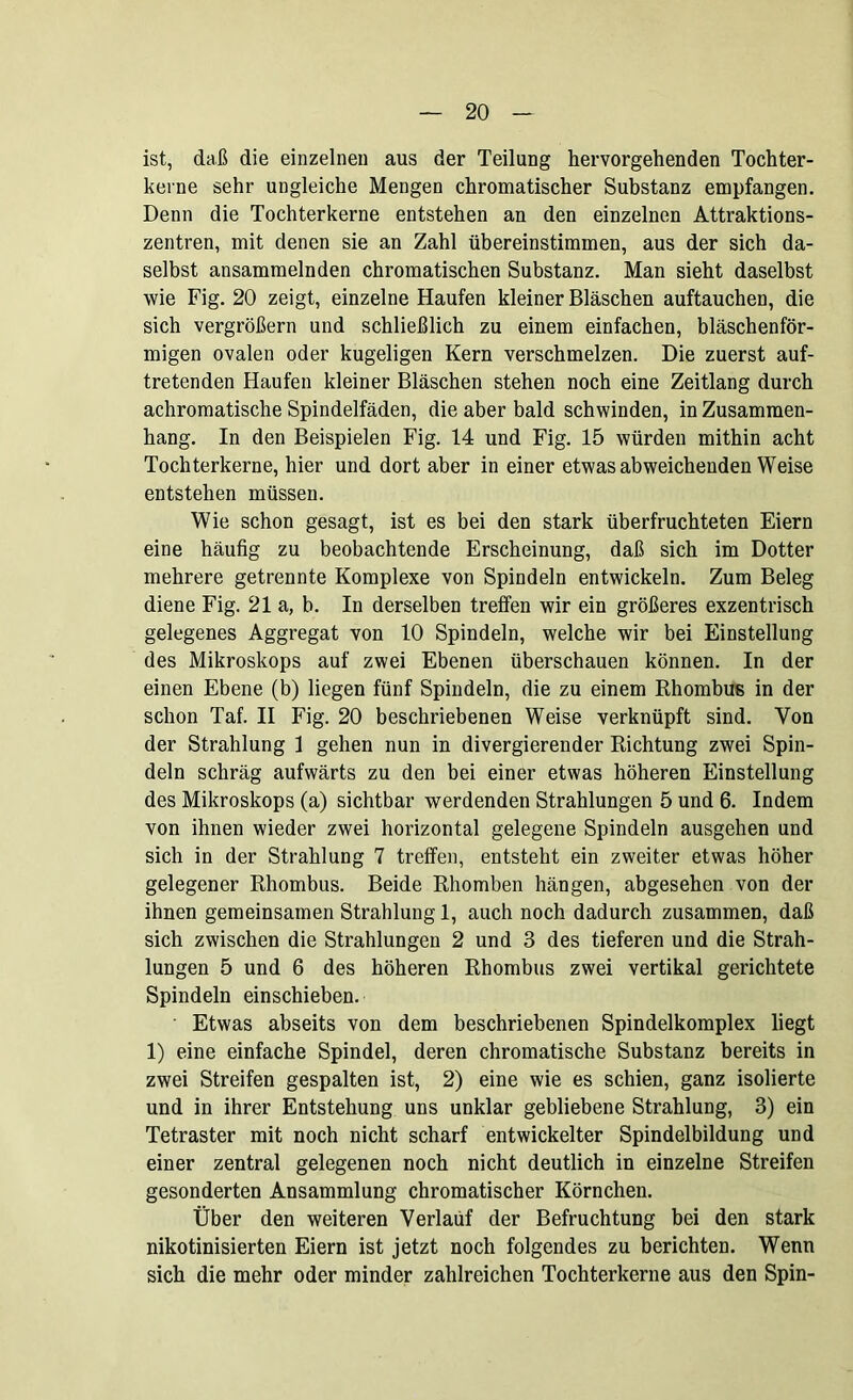 ist, daß die einzelnen aus der Teilung hervorgehenden Tochter- keine sehr ungleiche Mengen chromatischer Substanz empfangen. Denn die Tochterkerne entstehen an den einzelnen Attraktions- zentren, mit denen sie an Zahl übereinstimmen, aus der sich da- selbst ansammelnden chromatischen Substanz. Man sieht daselbst wie Fig. 20 zeigt, einzelne Haufen kleiner Bläschen auftauchen, die sich vergrößern und schließlich zu einem einfachen, bläschenför- migen ovalen oder kugeligen Kern verschmelzen. Die zuerst auf- tretenden Haufen kleiner Bläschen stehen noch eine Zeitlang durch achromatische Spindelfäden, die aber bald schwinden, in Zusammen- hang. In den Beispielen Fig. 14 und Fig. 15 würden mithin acht Tochterkerne, hier und dort aber in einer etwas abweichenden Weise entstehen müssen. Wie schon gesagt, ist es bei den stark überfruchteten Eiern eine häufig zu beobachtende Erscheinung, daß sich im Dotter mehrere getrennte Komplexe von Spindeln entwickeln. Zum Beleg diene Fig. 21 a, b. In derselben treffen wir ein größeres exzentrisch gelegenes Aggregat von 10 Spindeln, welche wir bei Einstellung des Mikroskops auf zwei Ebenen überschauen können. In der einen Ebene (b) liegen fünf Spindeln, die zu einem Rhombus in der schon Taf. II Fig. 20 beschriebenen Weise verknüpft sind. Von der Strahlung 1 gehen nun in divergierender Richtung zwei Spin- deln schräg aufwärts zu den bei einer etwas höheren Einstellung des Mikroskops (a) sichtbar werdenden Strahlungen 5 und 6. Indem von ihnen wieder zwei horizontal gelegene Spindeln ausgehen und sich in der Strahlung 7 treffen, entsteht ein zweiter etwas höher gelegener Rhombus. Beide Rhomben hängen, abgesehen von der ihnen gemeinsamen Strahlung 1, auch noch dadurch zusammen, daß sich zwischen die Strahlungen 2 und 3 des tieferen und die Strah- lungen 5 und 6 des höheren Rhombus zwei vertikal gerichtete Spindeln einschieben. Etwas abseits von dem beschriebenen Spindelkomplex liegt 1) eine einfache Spindel, deren chromatische Substanz bereits in zwei Streifen gespalten ist, 2) eine wie es schien, ganz isolierte und in ihrer Entstehung uns unklar gebliebene Strahlung, 3) ein Tetraster mit noch nicht scharf entwickelter Spindelbildung und einer zentral gelegenen noch nicht deutlich in einzelne Streifen gesonderten Ansammlung chromatischer Körnchen. Über den weiteren Verlauf der Befruchtung bei den stark nikotinisierten Eiern ist jetzt noch folgendes zu berichten. Wenn sich die mehr oder minder zahlreichen Tochterkerne aus den Spin-