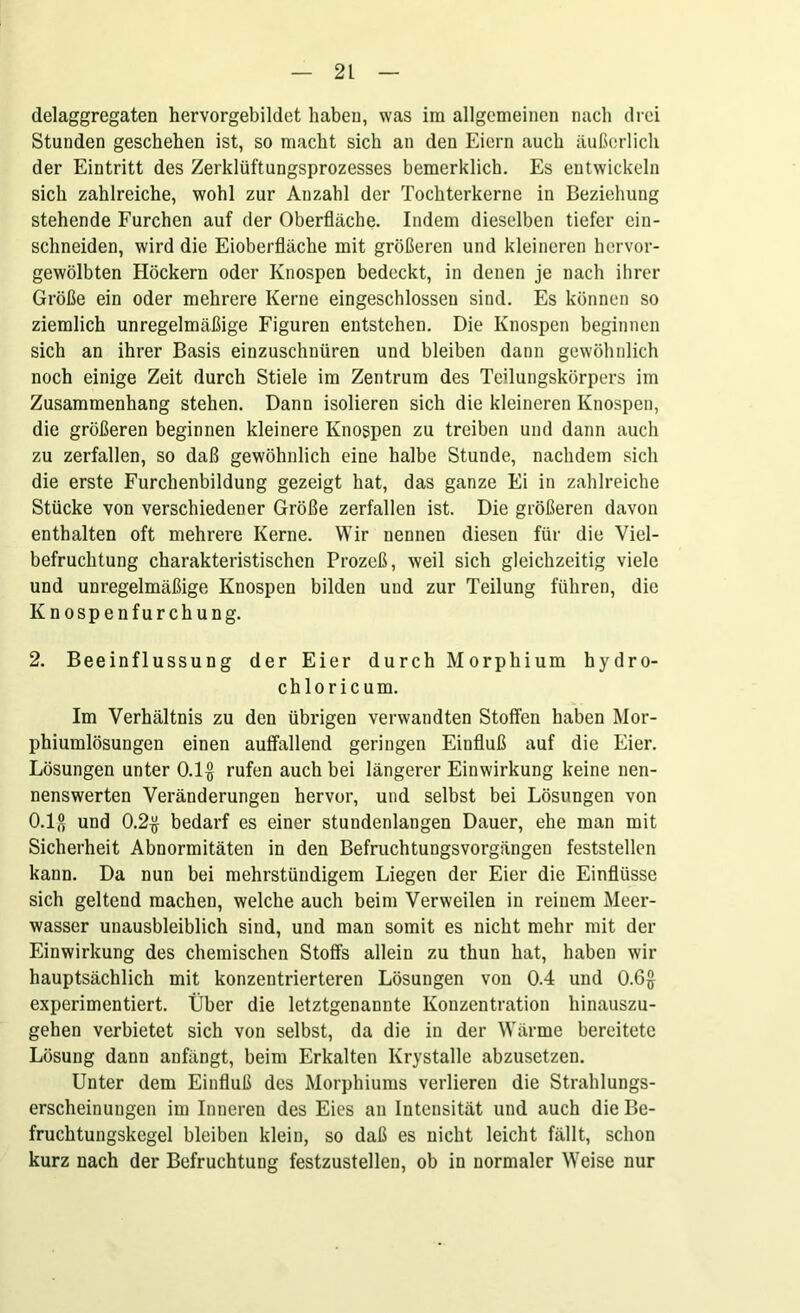 delaggregaten hervorgebildet haben, was im allgemeinen nach drei Stunden geschehen ist, so macht sich an den Eiern auch äußerlich der Eintritt des Zerklüftungsprozesses bemerklich. Es entwickeln sich zahlreiche, wohl zur Anzahl der Tochterkerne in Beziehung stehende Furchen auf der Oberfläche. Indem dieselben tiefer ein- schneiden, wird die Eioberfläche mit größeren und kleineren hervor- gewölbten Höckern oder Knospen bedeckt, in denen je nach ihrer Größe ein oder mehrere Kerne eingeschlossen sind. Es können so ziemlich unregelmäßige Figuren entstehen. Die Knospen beginnen sich an ihrer Basis einzuschnüren und bleiben dann gewöhnlich noch einige Zeit durch Stiele im Zentrum des Teilungskörpers im Zusammenhang stehen. Dann isolieren sich die kleineren Knospen, die größeren beginnen kleinere Knospen zu treiben und dann auch zu zerfallen, so daß gewöhnlich eine halbe Stunde, nachdem sich die erste Furchenbildung gezeigt hat, das ganze Ei in zahlreiche Stücke von verschiedener Größe zerfallen ist. Die größeren davon enthalten oft mehrere Kerne. Wir nennen diesen für die Viel- befruchtung charakteristischen Prozeß, weil sich gleichzeitig viele und unregelmäßige Knospen bilden und zur Teilung führen, die Knospenfurchung. 2. Beeinflussung der Eier durch Morphium hydro- chloricum. Im Verhältnis zu den übrigen verwandten Stoffen haben Mor- phiumlösungen einen auffallend geringen Einfluß auf die Eier. Lösungen unter 0.1$ rufen auch bei längerer Einwirkung keine nen- nenswerten Veränderungen hervor, und selbst bei Lösungen von 0.1$ und 0.2$ bedarf es einer stundenlangen Dauer, ehe man mit Sicherheit Abnormitäten in den Befruchtungsvorgängen feststellen kann. Da nun bei mehrstündigem Liegen der Eier die Einflüsse sich geltend machen, welche auch beim Verweilen in reinem Meer- wasser unausbleiblich sind, und man somit es nicht mehr mit der Einwirkung des chemischen Stoffs allein zu thun hat, haben wir hauptsächlich mit konzentrierteren Lösungen von 0.4 und 0.6$ experimentiert. Über die letztgenannte Konzentration hinauszu- gehen verbietet sich von selbst, da die in der Wärme bereitete Lösung dann anfängt, beim Erkalten Krystalle abzusetzen. Unter dem Einfluß des Morphiums verlieren die Strahlungs- erscheinungen im Inneren des Eies an Intensität und auch die Be- fruchtungskegel bleiben klein, so daß es nicht leicht fällt, schon kurz nach der Befruchtung festzustellen, ob in normaler Weise nur