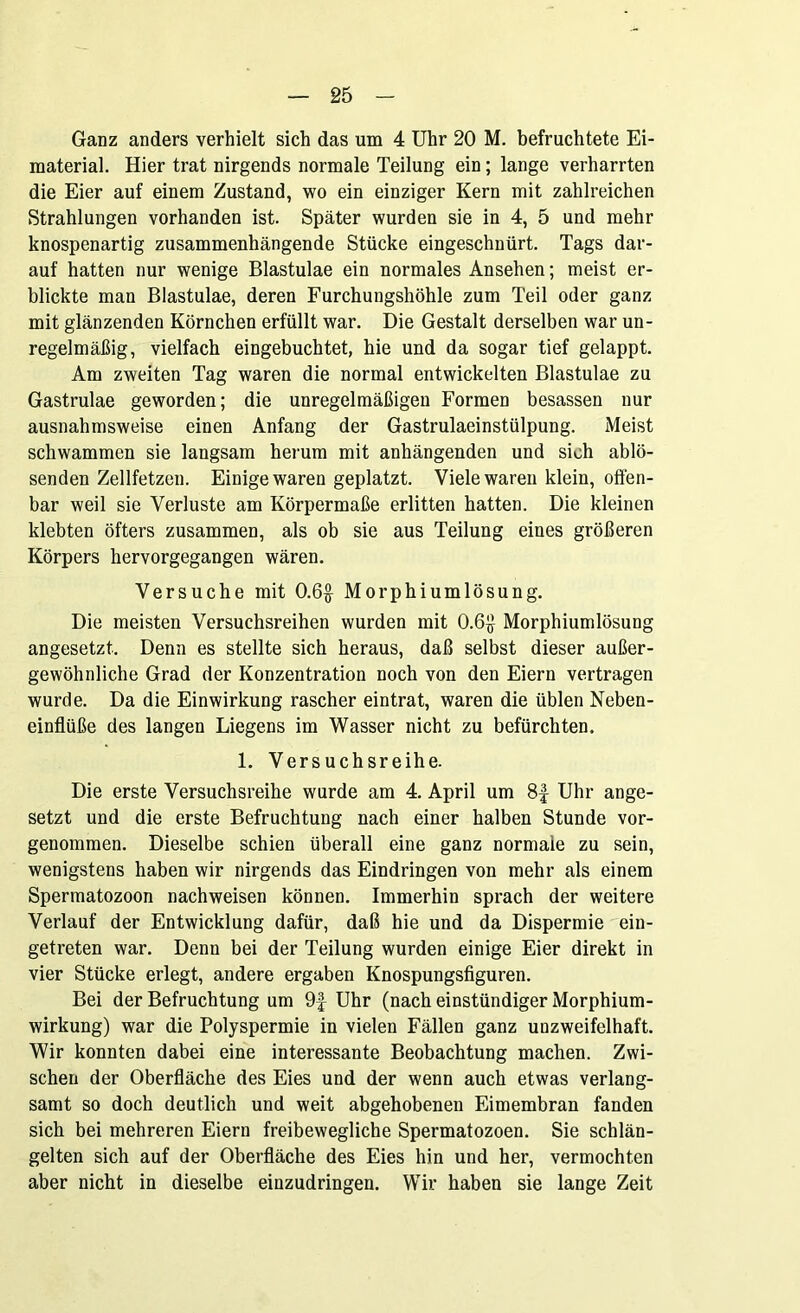 Ganz anders verhielt sich das um 4 Uhr 20 M. befruchtete Ei- material. Hier trat nirgends normale Teilung ein; lange verharrten die Eier auf einem Zustand, wo ein einziger Kern mit zahlreichen Strahlungen vorhanden ist. Später wurden sie in 4, 5 und mehr knospenartig zusammenhängende Stücke eingeschnürt. Tags dar- auf hatten nur wenige Blastulae ein normales Ansehen; meist er- blickte man Blastulae, deren Furchungshöhle zum Teil oder ganz mit glänzenden Körnchen erfüllt war. Die Gestalt derselben war un- regelmäßig, vielfach eingebuchtet, hie und da sogar tief gelappt. Am zweiten Tag waren die normal entwickelten Blastulae zu Gastrulae geworden; die unregelmäßigen Formen besassen nur ausnahmsweise einen Anfang der Gastrulaeinstülpung. Meist schwammen sie langsam herum mit anhängenden und sich ablö- senden Zellfetzen. Einige waren geplatzt. Viele waren klein, offen- bar weil sie Verluste am Körpermaße erlitten hatten. Die kleinen klebten öfters zusammen, als ob sie aus Teilung eines größeren Körpers hervorgegangen wären. Versuche mit 0.6§ Morphiumlösung. Die meisten Versuchsreihen wurden mit 0.6£ Morphiumlösung angesetzt. Denn es stellte sich heraus, daß selbst dieser außer- gewöhnliche Grad der Konzentration noch von den Eiern vertragen wurde. Da die Einwirkung rascher eintrat, waren die üblen Neben- einflüße des langen Liegens im Wasser nicht zu befürchten. 1. Versuchsreihe. Die erste Versuchsreihe wurde am 4. April um 8f Uhr ange- setzt und die erste Befruchtung nach einer halben Stunde vor- genommen. Dieselbe schien überall eine ganz normale zu sein, wenigstens haben wir nirgends das Eindringen von mehr als einem Spermatozoon nachweisen können. Immerhin sprach der weitere Verlauf der Entwicklung dafür, daß hie und da Dispermie ein- getreten war. Denn bei der Teilung wurden einige Eier direkt in vier Stücke erlegt, andere ergaben Knospungsfiguren. Bei der Befruchtung um 9f Uhr (nach einstündiger Morphium- wirkung) war die Polyspermie in vielen Fällen ganz unzweifelhaft. Wir konnten dabei eine interessante Beobachtung machen. Zwi- schen der Oberfläche des Eies und der wenn auch etwas verlang- samt so doch deutlich und weit abgehobenen Eimembran fanden sich bei mehreren Eiern freibewegliche Spermatozoen. Sie schlän- gelten sich auf der Oberfläche des Eies hin und her, vermochten aber nicht in dieselbe einzudringen. Wir haben sie lange Zeit