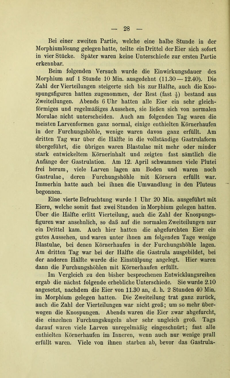 Bei einer zweiten Partie, welche eine halbe Stunde in der Morphiumlösung gelegen hatte, teilte ein Drittel der Eier sich sofort in vier Stücke. Später waren keine Unterschiede zur ersten Partie erkennbar. Beim folgenden Versuch wurde die Einwirkungsdauer des Morphium auf 1 Stunde 10 Min. ausgedehnt (11.30—12.40). Die Zahl der Vierteilungen steigerte sich bis zur Hälfte, auch die Kno- spungsfiguren hatten zugenommen, der Rest (fast bestand aus Zweiteilungen. Abends 6 Uhr hatten alle Eier ein sehr gleich- förmiges und regelmäßiges Aussehen, sie ließen sich von normalen Morulae nicht unterscheiden. Auch am folgenden Tag waren die meisten Larvenformen ganz normal, einige enthielten Körnerhaufen in der Furchungshöhle, wenige waren davon ganz erfüllt. Am dritten Tag war über die Hälfte in die vollständige Gastrulaform übergeführt, die übrigen waren Blastulae mit mehr oder minder stark entwickeltem Körnerinhalt und zeigten fast sämtlich die Anfänge der Gastrulation. Am 12. April schwammen viele Plutei frei herum, viele Larven lagen am Boden und waren noch Gastrulae, deren Furchungshöhle mit Körnern erfüllt war. Immerhin hatte auch bei ihnen die Umwandlung in den Pluteus begonnen. Eine vierte Befruchtung wurde 1 Uhr 20 Min. ausgeführt mit Eiern, welche somit fast zwei Stunden in Morphium gelegen hatten. Über die Hälfte erlitt Vierteilung, auch die Zahl der Knospungs- figuren war ansehnlich, so daß auf die normalen Zweiteilungen nur ein Drittel kam. Auch hier hatten die abgefurchten Eier ein gutes Aussehen, und waren unter ihnen am folgenden Tage wenige Blastulae, bei denen Körnerhaufen in der Furchungshöhle lagen. Am dritten Tag war bei der Hälfte die Gastrula ausgebildet, bei der anderen Hälfte wurde die Einstülpung angelegt. Hier waren dann die Furchungshöhlen mit Körnerhaufen erfüllt. Im Vergleich zu den bisher besprochenen Entwicklungsreihen ergab die nächst folgende erhebliche Unterschiede. Sie wurde 2.10 angesetzt, nachdem die Eier von 11.30 an, d. h. 2 Stunden 40 Min. im Morphium gelegen hatten. Die Zweiteilung trat ganz zurück, auch die Zahl der Vierteilungen war nicht groß; um so mehr über- wogen die Knospungen. Abends waren die Eier zwar abgefurcht, die einzelnen Furchungskugeln aber sehr ungleich groß. Tags darauf waren viele Larven unregelmäßig eingeschnürt; fast alle enthielten Körnerhaufen im Inneren, wenn auch nur wenige prall erfüllt waren. Viele von ihnen starben ab, bevor das Gastrula-