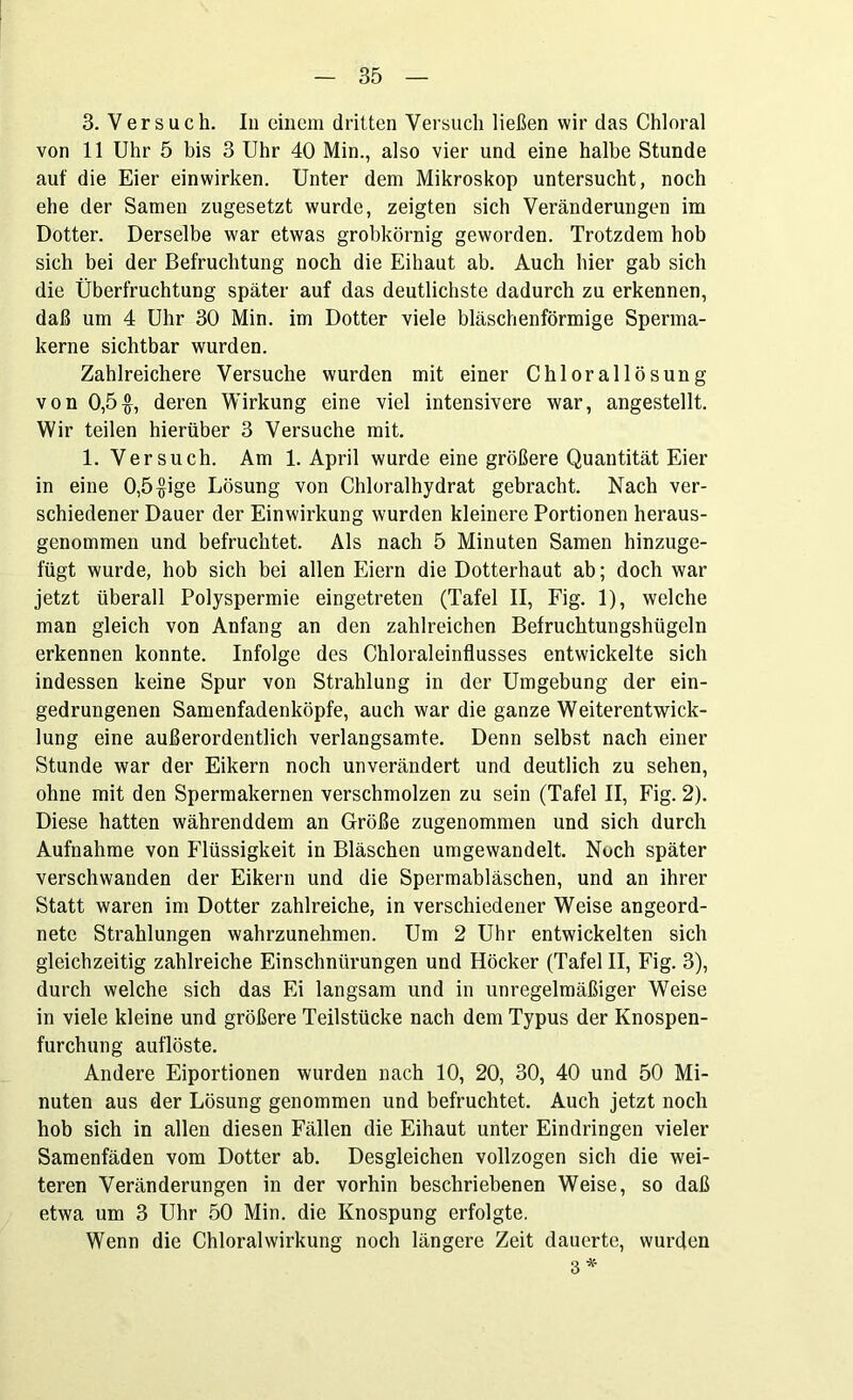 3. Versuch. In einem dritten Versuch ließen wir das Chloral von 11 Uhr 5 bis 3 Uhr 40 Min., also vier und eine halbe Stunde auf die Eier einwirken. Unter dem Mikroskop untersucht, noch ehe der Samen zugesetzt wurde, zeigten sich Veränderungen im Dotter. Derselbe war etwas grobkörnig geworden. Trotzdem hob sich bei der Befruchtung noch die Eihaut ab. Auch hier gab sich die Überfruchtung später auf das deutlichste dadurch zu erkennen, daß um 4 Uhr 30 Min. im Dotter viele bläschenförmige Sperma- kerne sichtbar wurden. Zahlreichere Versuche wurden mit einer Chlorallösung von 0,5$, deren Wirkung eine viel intensivere war, angestellt. Wir teilen hierüber 3 Versuche mit. 1. Versuch. Am 1. April wurde eine größere Quantität Eier in eine 0,5 $ige Lösung von Chloralhydrat gebracht. Nach ver- schiedener Dauer der Einwirkung wurden kleinere Portionen heraus- genommen und befruchtet. Als nach 5 Minuten Samen hinzuge- fügt wurde, hob sich bei allen Eiern die Dotterhaut ab; doch war jetzt überall Polyspermie eingetreten (Tafel II, Fig. 1), welche man gleich von Anfang an den zahlreichen Befruchtungshügeln erkennen konnte. Infolge des Chloraleinflusses entwickelte sich indessen keine Spur von Strahlung in der Umgebung der ein- gedrungenen Samenfadenköpfe, auch war die ganze Weiterentwick- lung eine außerordentlich verlangsamte. Denn selbst nach einer Stunde war der Eikern noch unverändert und deutlich zu sehen, ohne mit den Spermakernen verschmolzen zu sein (Tafel II, Fig. 2). Diese hatten währenddem an Größe zugenommen und sich durch Aufnahme von Flüssigkeit in Bläschen umgewandelt. Noch später verschwanden der Eikern und die Spermabläschen, und an ihrer Statt waren im Dotter zahlreiche, in verschiedener Weise angeord- nete Strahlungen wahrzunehmen. Um 2 Uhr entwickelten sich gleichzeitig zahlreiche Einschnürungen und Höcker (Tafel II, Fig. 3), durch welche sich das Ei langsam und in unregelmäßiger Weise in viele kleine und größere Teilstücke nach dem Typus der Knospen- furchung auflöste. Andere Eiportionen wurden nach 10, 20, 30, 40 und 50 Mi- nuten aus der Lösung genommen und befruchtet. Auch jetzt noch hob sich in allen diesen Fällen die Eihaut unter Eindringen vieler Samenfäden vom Dotter ab. Desgleichen vollzogen sich die wei- teren Veränderungen in der vorhin beschriebenen Weise, so daß etwa um 3 Uhr 50 Min. die Knospung erfolgte. Wenn die Chloralwirkung noch längere Zeit dauerte, wurden 3 *