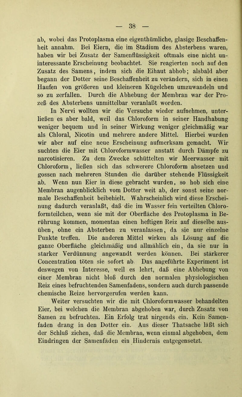 ab, wobei das Protoplasma eine eigentümliche, glasige Beschaffen- heit annahm. Bei Eiern, die im Stadium des Absterbens waren, haben wir bei Zusatz der Samenflüssigkeit oftmals eine nicht un- interessante Erscheinung beobachtet. Sie reagierten noch auf den Zusatz des Samens, indem sich die Eihaut abhob; alsbald aber begann der Dotter seine Beschaffenheit zu verändern, sich in einen Haufen von größeren und kleineren Kügelchen umzuwandeln und so zu zerfallen. Durch die Abhebung der Membran war der Pro- zeß des Absterbens unmittelbar veranlaßt worden. In Nervi wollten wir die Versuche wieder aufnehmen, unter- ließen es aber bald, weil das Chloroform in seiner Handhabung weniger bequem und in seiner Wirkung weniger gleichmäßig war als Chloral, Nicotin und mehrere andere Mittel. Hierbei wurden wir aber auf eine neue Erscheinung aufmerksam gemacht. Wir suchten die Eier mit Chloroformwasser anstatt durch Dämpfe zu narcotisieren. Zu dem Zwecke schüttelten wir Meerwasser mit Chloroform, ließen sich das schwerere Chloroform absetzen und gossen nach mehreren Stunden die darüber stehende Flüssigkeit ab. Wenn nun Eier in diese gebracht wurden, so hob sich eine Membran augenblicklich vom Dotter weit ab, der sonst seine nor- male Beschaffenheit beibehielt. Wahrscheinlich wird diese Erschei- nung dadurch veranlaßt, daß die im Wasser fein verteilten Chloro- formteilchen, wenn sie mit der Oberfläche des Protoplasma in Be- rührung kommen, momentan einen heftigen Reiz auf dieselbe aus- üben, ohne ein Absterben zu veranlassen, da sie nur einzelne Punkte treffen. Die anderen Mittel wirken als Lösung auf die ganze Oberfläche gleichmäßig und allmählich ein, da sie nur in starker Verdünnung angewandt werden können. Bei stärkerer Concentration töten sie sofort ab. Das angeführte Experiment ist deswegen von Interesse, weil es lehrt, daß eine Abhebung von einer Membran nicht bloß durch den normalen physiologischen Reiz eines befruchtenden Samenfadens, sondern auch durch passende chemische Reize hervorgerufen werden kann. Weiter versuchten wir die mit Chloroformwasser behandelten Eier, bei welchen die Membran abgehoben war, durch Znsatz von Samen zu befruchten. Ein Erfolg trat nirgends ein. Kein Samen- faden drang in den Dotter ein. Aus dieser Thatsache läßt sich der Schluß ziehen, daß die Membran, wenn einmal abgehoben, dem Eindringen der Samenfäden ein Hindernis entgegensetzt.