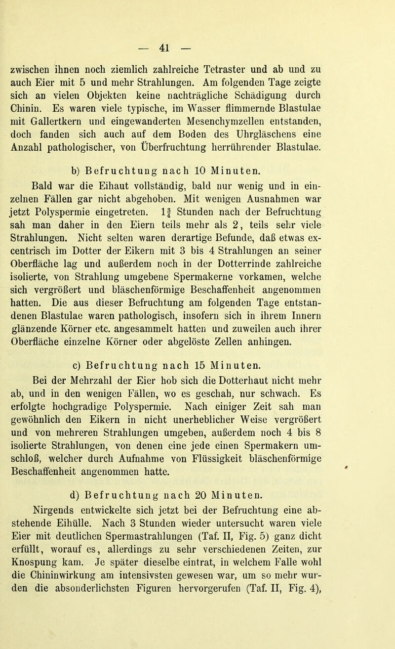 zwischen ihnen noch ziemlich zahlreiche Tetraster und ab und zu auch Eier mit 5 und mehr Strahlungen. Am folgenden Tage zeigte sich an vielen Objekten keine nachträgliche Schädigung durch Chinin. Es waren viele typische, im Wasser flimmernde Blastulae mit Gallertkern und eingewanderten Mesenchymzellen entstanden, doch fanden sich auch auf dem Boden des Uhrgläschens eine Anzahl pathologischer, von Überfruchtung herrührender Blastulae. b) Befruchtung nach 10 Minuten. Bald war die Eihaut vollständig, bald nur wenig und in ein- zelnen Fällen gar nicht abgehoben. Mit wenigen Ausnahmen war jetzt Polyspermie eingetreten, lf Stunden nach der Befruchtung sah man daher in den Eiern teils mehr als 2, teils sehr viele Strahlungen. Nicht selten waren derartige Befunde, daß etwas ex- centrisch im Dotter der Eikern mit 3 bis 4 Strahlungen an seiner Oberfläche lag und außerdem noch in der Dotterrinde zahlreiche isolierte, von Strahlung umgebene Spermakerne vorkamen, welche sich vergrößert und bläschenförmige Beschaffenheit angenommen hatten. Die aus dieser Befruchtung am folgenden Tage entstan- denen Blastulae waren pathologisch, insofern sich in ihrem Innern glänzende Körner etc. angesammelt hatten und zuweilen auch ihrer Oberfläche einzelne Körner oder abgelöste Zellen anhingen. c) Befruchtung nach 15 Minuten. Bei der Mehrzahl der Eier hob sich die Dotterhaut nicht mehr ab, und in den wenigen Fällen, wo es geschah, nur schwach. Es erfolgte hochgradige Polyspermie. Nach einiger Zeit sah man gewöhnlich den Eikern in nicht unerheblicher Weise vergrößert und von mehreren Strahlungen umgeben, außerdem noch 4 bis 8 isolierte Strahlungen, von denen eine jede einen Spermakern um- schloß, welcher durch Aufnahme von Flüssigkeit bläschenförmige Beschaffenheit angenommen hatte. d) Befruchtung nach 20 Minuten. Nirgends entwickelte sich jetzt bei der Befruchtung eine ab- stehende Eihülle. Nach 3 Stunden wieder untersucht waren viele Eier mit deutlichen Spermastrahlungen (Taf. II, Fig. 5) ganz dicht erfüllt, worauf es, allerdings zu sehr verschiedenen Zeiten, zur Knospung kam. Je später dieselbe eintrat, in welchem Falle wohl die Chininwirkung am intensivsten gewesen war, um so mehr wur- den die absonderlichsten Figuren hervorgerufen (Taf. II, Fig. 4),