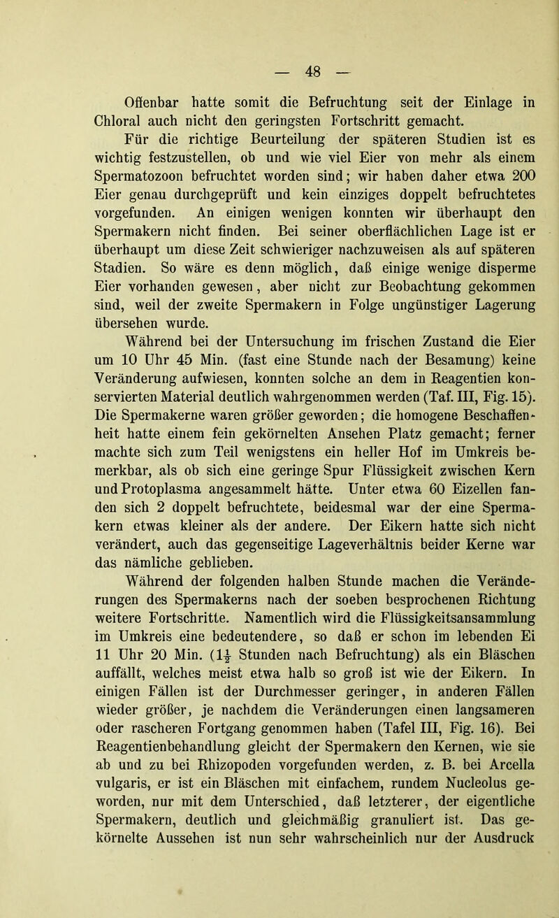 Offenbar hatte somit die Befruchtung seit der Einlage in Chloral auch nicht den geringsten Fortschritt gemacht. Für die richtige Beurteilung der späteren Studien ist es wichtig festzustellen, ob und wie viel Eier von mehr als einem Spermatozoon befruchtet worden sind; wir haben daher etwa 200 Eier genau durchgeprüft und kein einziges doppelt befruchtetes vorgefunden. An einigen wenigen konnten wir überhaupt den Spermakern nicht finden. Bei seiner oberflächlichen Lage ist er überhaupt um diese Zeit schwieriger nachzuweisen als auf späteren Stadien. So wäre es denn möglich, daß einige wenige disperme Eier vorhanden gewesen, aber nicht zur Beobachtung gekommen sind, weil der zweite Spermakern in Folge ungünstiger Lagerung übersehen wurde. Während bei der Untersuchung im frischen Zustand die Eier um 10 Uhr 45 Min. (fast eine Stunde nach der Besamung) keine Veränderung aufwiesen, konnten solche an dem in Reagentien kon- servierten Material deutlich wahrgenommen werden (Taf. III, Fig. 15). Die Spermakerne waren größer geworden; die homogene Beschaffen- heit hatte einem fein gekörnelten Ansehen Platz gemacht; ferner machte sich zum Teil wenigstens ein heller Hof im Umkreis be- merkbar, als ob sich eine geringe Spur Flüssigkeit zwischen Kern und Protoplasma angesammelt hätte. Unter etwa 60 Eizellen fan- den sich 2 doppelt befruchtete, beidesmal war der eine Sperma- kern etwas kleiner als der andere. Der Eikern hatte sich nicht verändert, auch das gegenseitige Lageverhältnis beider Kerne war das nämliche geblieben. Während der folgenden halben Stunde machen die Verände- rungen des Spermakerns nach der soeben besprochenen Richtung weitere Fortschritte. Namentlich wird die Flüssigkeitsansammlung im Umkreis eine bedeutendere, so daß er schon im lebenden Ei 11 Uhr 20 Min. (1| Stunden nach Befruchtung) als ein Bläschen auffällt, welches meist etwa halb so groß ist wie der Eikern. In einigen Fällen ist der Durchmesser geringer, in anderen Fällen wieder größer, je nachdem die Veränderungen einen langsameren oder rascheren Fortgang genommen haben (Tafel III, Fig. 16). Bei Reagentienbehandlung gleicht der Spermakern den Kernen, wie sie ab und zu bei Rhizopoden vorgefunden werden, z. B. bei Arcella vulgaris, er ist ein Bläschen mit einfachem, rundem Nucleolus ge- worden, nur mit dem Unterschied, daß letzterer, der eigentliche Spermakern, deutlich und gleichmäßig granuliert ist. Das ge- körnelte Aussehen ist nun sehr wahrscheinlich nur der Ausdruck