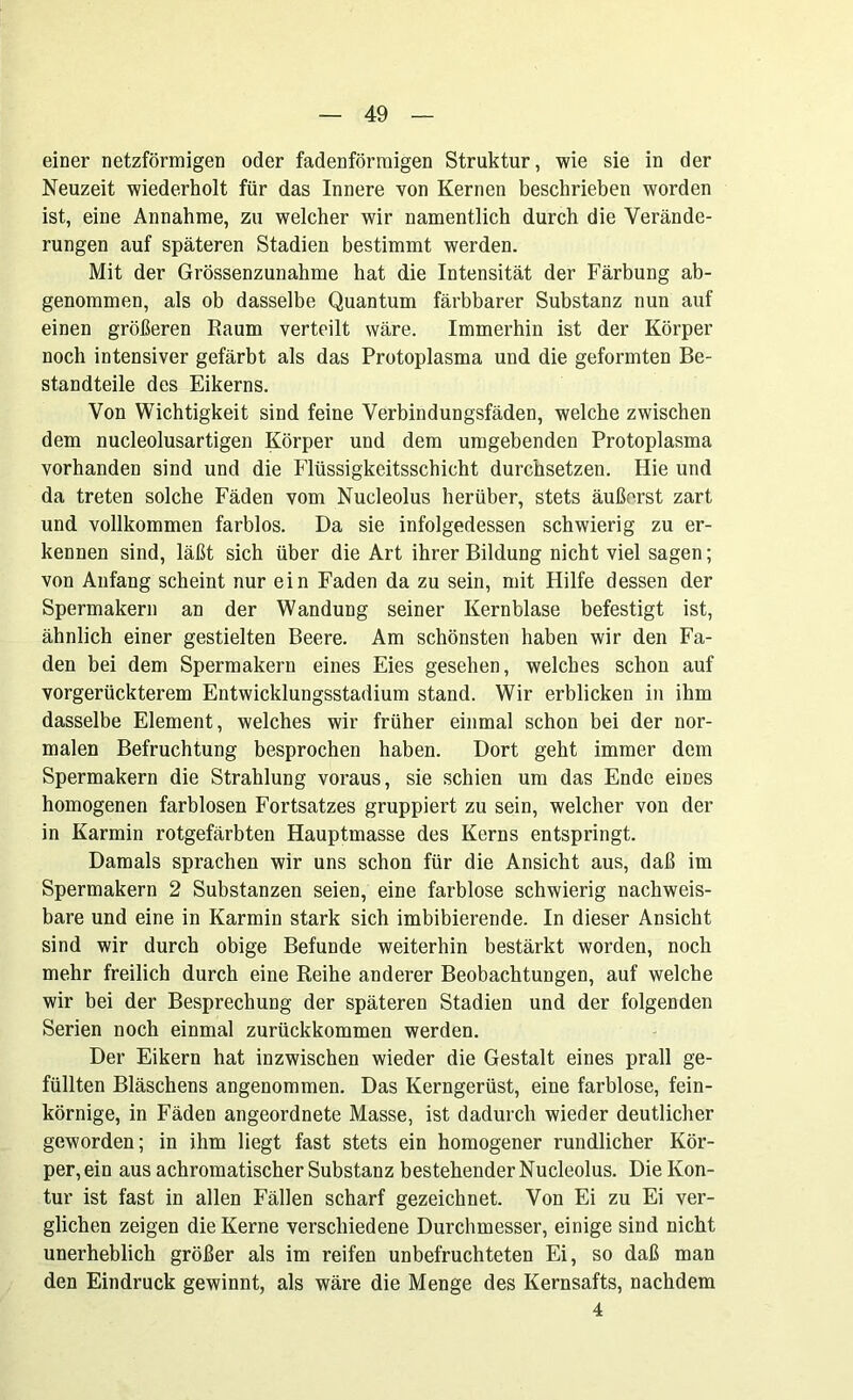 einer netzförmigen oder fadenförmigen Struktur, wie sie in der Neuzeit wiederholt für das Innere von Kernen beschrieben worden ist, eine Annahme, zu welcher wir namentlich durch die Verände- rungen auf späteren Stadien bestimmt werden. Mit der Grössenzunahme hat die Intensität der Färbung ab- genommen, als ob dasselbe Quantum färbbarer Substanz nun auf einen größeren Raum verteilt wäre. Immerhin ist der Körper noch intensiver gefärbt als das Protoplasma und die geformten Be- standteile des Eikerns. Von Wichtigkeit sind feine Verbindungsfäden, welche zwischen dem nucleolusartigen Körper und dem umgebenden Protoplasma vorhanden sind und die Flüssigkeitsschicht durchsetzen. Hie und da treten solche Fäden vom Nucleolus herüber, stets äußerst zart und vollkommen farblos. Da sie infolgedessen schwierig zu er- kennen sind, läßt sich über die Art ihrer Bildung nicht viel sagen; von Anfang scheint nur ein Faden da zu sein, mit Hilfe dessen der Spermakern an der Wandung seiner Kernblase befestigt ist, ähnlich einer gestielten Beere. Am schönsten haben wir den Fa- den bei dem Spermakern eines Eies gesehen, welches schon auf vorgerückterem Entwicklungsstadium stand. Wir erblicken in ihm dasselbe Element, welches wir früher einmal schon bei der nor- malen Befruchtung besprochen haben. Dort geht immer dem Spermakern die Strahlung voraus, sie schien um das Ende eines homogenen farblosen Fortsatzes gruppiert zu sein, welcher von der in Karmin rotgefärbten Hauptmasse des Kerns entspringt. Damals sprachen wir uns schon für die Ansicht aus, daß im Spermakern 2 Substanzen seien, eine farblose schwierig nachweis- bare und eine in Karmin stark sich imbibierende. In dieser Ansicht sind wir durch obige Befunde weiterhin bestärkt worden, noch mehr freilich durch eine Reihe anderer Beobachtungen, auf welche wir bei der Besprechung der späteren Stadien und der folgenden Serien noch einmal zurückkommen werden. Der Eikern hat inzwischen wieder die Gestalt eines prall ge- füllten Bläschens angenommen. Das Kerngerüst, eine farblose, fein- körnige, in Fäden angeordnete Masse, ist dadurch wieder deutlicher geworden; in ihm liegt fast stets ein homogener rundlicher Kör- per, ein aus achromatischer Substanz bestehender Nucleolus. Die Kon- tur ist fast in allen Fällen scharf gezeichnet. Von Ei zu Ei ver- glichen zeigen die Kerne verschiedene Durchmesser, einige sind nicht unerheblich größer als im reifen unbefruchteten Ei, so daß man den Eindruck gewinnt, als wäre die Menge des Kernsafts, nachdem 4