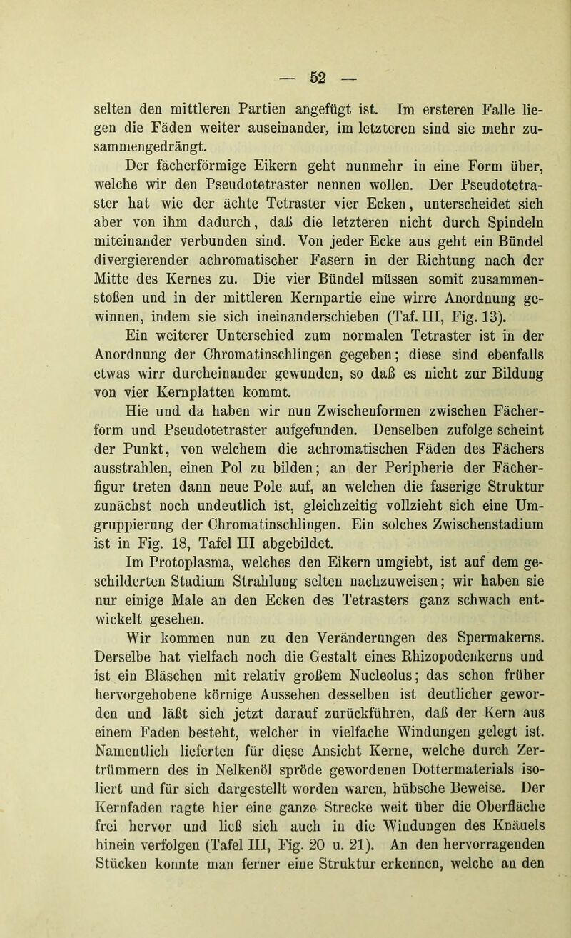 selten den mittleren Partien angefügt ist. Im ersteren Falle lie- gen die Fäden weiter auseinander, im letzteren sind sie mehr zu- sammengedrängt. Der fächerförmige Eikern geht nunmehr in eine Form über, welche wir den Pseudotetraster nennen wollen. Der Pseudotetra- ster hat wie der ächte Tetraster vier Ecken, unterscheidet sich aber von ihm dadurch, daß die letzteren nicht durch Spindeln miteinander verbunden sind. Von jeder Ecke aus geht ein Bündel divergierender achromatischer Fasern in der Richtung nach der Mitte des Kernes zu. Die vier Bündel müssen somit Zusammen- stößen und in der mittleren Kernpartie eine wirre Anordnung ge- winnen, indem sie sich ineinanderschieben (Taf. III, Fig. 13). Ein weiterer Unterschied zum normalen Tetraster ist in der Anordnung der Chromatinschlingen gegeben; diese sind ebenfalls etwas wirr durcheinander gewunden, so daß es nicht zur Bildung von vier Kernplatten kommt. Hie und da haben wir nun Zwischenformen zwischen Fächer- form und Pseudotetraster aufgefunden. Denselben zufolge scheint der Punkt, von welchem die achromatischen Fäden des Fächers ausstrahlen, einen Pol zu bilden; an der Peripherie der Fächer- figur treten dann neue Pole auf, an welchen die faserige Struktur zunächst noch undeutlich ist, gleichzeitig vollzieht sich eine Um- gruppierung der Chromatinschlingen. Ein solches Zwischenstadium ist in Fig. 18, Tafel HI abgebildet. Im Protoplasma, welches den Eikern umgiebt, ist auf dem ge- schilderten Stadium Strahlung selten uachzuweisen; wir haben sie nur einige Male an den Ecken des Tetrasters ganz schwach ent- wickelt gesehen. Wir kommen nun zu den Veränderungen des Spermakerns. Derselbe hat vielfach noch die Gestalt eines Rhizopodenkerns und ist ein Bläschen mit relativ großem Nucleolus; das schon früher hervorgehobene körnige Aussehen desselben ist deutlicher gewor- den und läßt sich jetzt darauf zurückführen, daß der Kern aus einem Faden besteht, welcher in vielfache Windungen gelegt ist. Namentlich lieferten für diese Ansicht Kerne, welche durch Zer- trümmern des in Nelkenöl spröde gewordenen Dottermaterials iso- liert und für sich dargestellt worden waren, hübsche Beweise. Der Kernfaden ragte hier eine ganze Strecke weit über die Oberfläche frei hervor und ließ sich auch in die Windungen des Knäuels hinein verfolgen (Tafel III, Fig. 20 u. 21). An den hervorragenden Stücken konnte mau ferner eine Struktur erkennen, welche au den