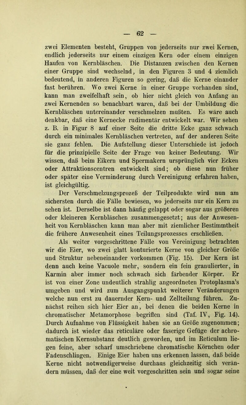 zwei Elementen besteht, Gruppen von jederseits nur zwei Kernen, endlich jederseits nur einem einzigen Kern oder einem einzigen Haufen von Kernbläschen. Die Distanzen zwischen den Kernen einer Gruppe sind wechselnd, in den Figuren 3 und 4 ziemlich bedeutend, in anderen Figuren so gering, daß die Kerne einander fast berühren. Wo zwei Kerne in einer Gruppe vorhanden sind, kann man zweifelhaft sein, ob hier nicht gleich von Anfang an zwei Kernenden so benachbart waren, daß bei der Umbildung die Kernbläschen untereinander verschmelzen mußten. Es wäre auch denkbar, daß eine Kernecke rudimentär entwickelt war. Wir sehen z. B. in Figur 8 auf einer Seite die dritte Ecke ganz schwach durch ein minimales Kernbläschen vertreten, auf der anderen Seite sie ganz fehlen. Die Aufstellung dieser Unterschiede ist jedoch für die prinzipielle Seite der Frage von keiner Bedeutung. Wir wissen, daß beim Eikern und Spermakern ursprünglich vier Ecken oder Attraktionscentren entwickelt sind; ob diese nun früher oder später eine Verminderung durch Vereinigung erfahren haben, ist gleichgültig. Der Verschmelzungsprozeß der Teilprodukte wird nun am sichersten durch die Fälle bewiesen, wo jederseits nur ein Kern zu sehen ist. Derselbe ist dann häufig gelappt oder sogar aus größeren oder kleineren Kernbläschen zusammengesetzt; aus der Anwesen- heit von Kernbläschen kann man aber mit ziemlicher Bestimmtheit die frühere Anwesenheit eines Teilungsprozesses erschließen. Als weiter vorgeschrittene Fälle von Vereinigung betrachten wir die Eier, wo zwei glatt konturierte Kerne von gleicher Größe und Struktur nebeneinander Vorkommen (Fig. 15). Der Kern ist denn auch keine Vacuole mehr, sondern ein fein granulierter, in Karmin aber immer noch schwach sich färbender Körper. Er ist von einer Zone undeutlich strahlig angeordneten Protoplasma’s umgeben und wird zum Ausgangspunkt weiterer Veränderungen welche nun erst zu dauernder Kern- und Zellteilung führen. Zu- nächst reihen sich hier Eier an, bei denen die beiden Kerne in chromatischer Metamorphose begriffen sind (Taf. IV, Fig. 14). Durch Aufnahme von Flüssigkeit haben sie an Größe zugenommen; dadurch ist wieder das reticuläre oder faserige Gefüge der achro- matischen Kernsubstanz deutlich geworden, und im Reticulum lie- gen feine, aber scharf umschriebene chromatische Körnchen oder Fadenschlingen. Einige Eier haben uns erkennen lassen, daß beide Kerne nicht notwendigerweise durchaus gleichzeitig sich verän- dern müssen, daß der eine weit vorgeschritten sein und sogar seine