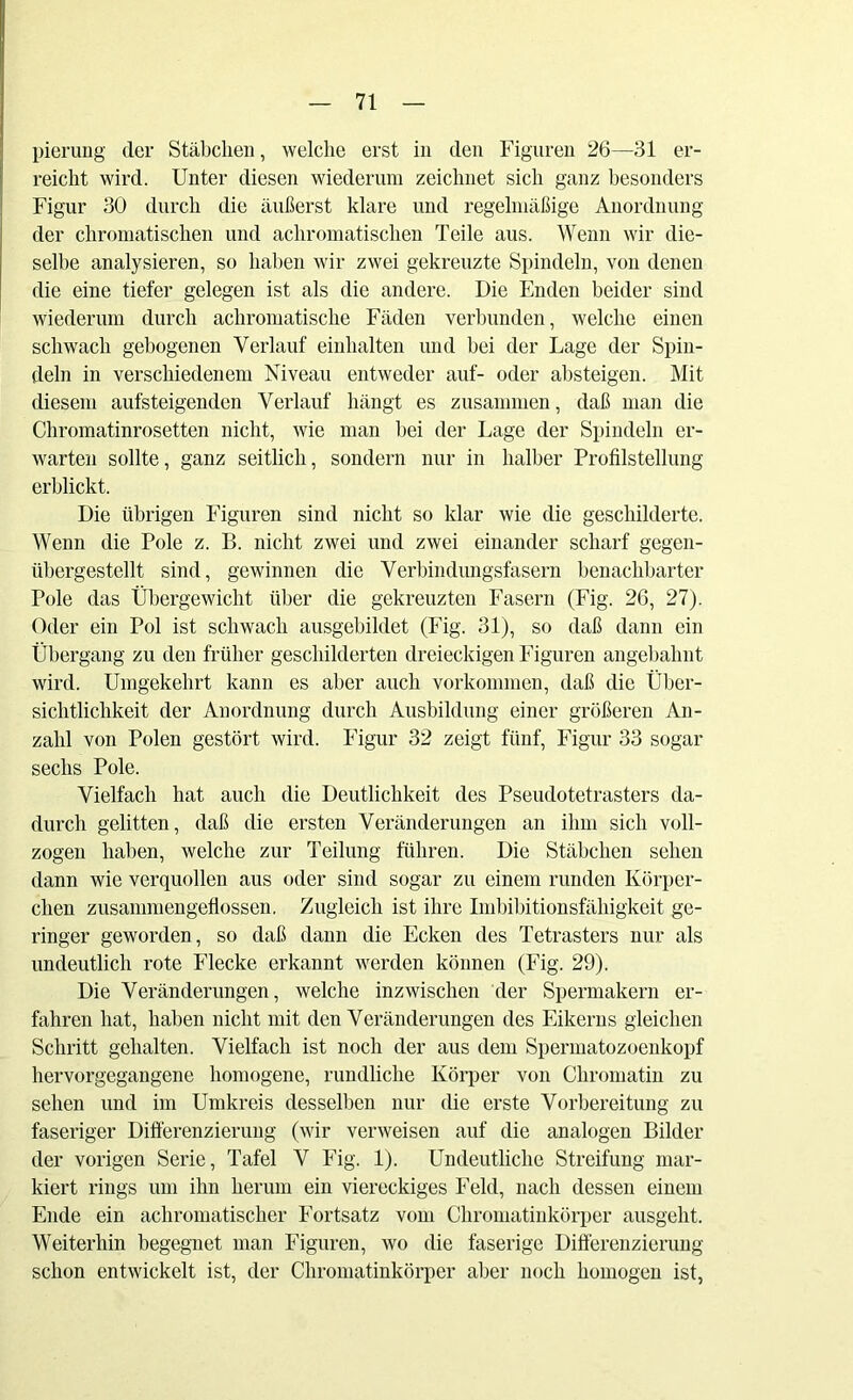 pierung der Stäbchen, welche erst in den Figuren 26—31 er- reicht wird. Unter diesen wiederum zeichnet sich ganz besonders Figur 30 durch die äußerst klare und regelmäßige Anordnung der chromatischen und achromatischen Teile aus. Wenn wir die- selbe analysieren, so haben wir zwei gekreuzte Spindeln, von denen die eine tiefer gelegen ist als die andere. Die Enden beider sind Wiederum durch achromatische Fäden verbunden, welche einen schwach gebogenen Verlauf einhalten und bei der Lage der Spin- deln in verschiedenem Niveau entweder auf- oder absteigen. Mit diesem aufsteigenden Verlauf hängt es zusammen, daß man die Chromatinrosetten nicht, wie man bei der Lage der Spindeln er- warten sollte, ganz seitlich, sondern nur in halber Profilstellung erblickt. Die übrigen Figuren sind nicht so klar wie die geschilderte. Wenn die Pole z. B. nicht zwei und zwei einander scharf gegen- übergestellt sind, gewinnen die Verbindungsfasern benachbarter Pole das Übergewicht über die gekreuzten Fasern (Fig. 26, 27). Oder ein Pol ist schwach ausgebildet (Fig. 31), so daß dann ein Übergang zu den früher geschilderten dreieckigen Figuren angebahnt wird. Umgekehrt kann es aber auch Vorkommen, daß die Über- sichtlichkeit der Anordnung durch Ausbildung einer größeren An- zahl von Polen gestört wird. Figur 32 zeigt fünf, Figur 33 sogar sechs Pole. Vielfach hat auch die Deutlichkeit des Pseudotetrasters da- durch gelitten, daß die ersten Veränderungen an ihm sich voll- zogen haben, welche zur Teilung führen. Die Stäbchen sehen dann wie verquollen aus oder sind sogar zu einem runden Körper- chen zusammengefiossen. Zugleich ist ihre Imbibitionsfähigkeit ge- ringer geworden, so daß dann die Ecken des Tetrasters nur als undeutlich rote Flecke erkannt werden können (Fig. 29). Die Veränderungen, welche inzwischen der Spermakern er- fahren hat, haben nicht mit den Veränderungen des Eikerns gleichen Schritt gehalten. Vielfach ist noch der aus dem Spermatozoenkopf hervorgegangene homogene, rundliche Körper von Chromatin zu sehen und im Umkreis desselben nur die erste Vorbereitung zu faseriger Differenzierung (wir verweisen auf die analogen Bilder der vorigen Serie, Tafel V Fig. 1). Undeutliche Streifung mar- kiert rings um ihn herum ein viereckiges Feld, nach dessen einem Ende ein achromatischer Fortsatz vom Chromatinkörper ausgeht. Weiterhin begegnet man Figuren, wo die faserige Differenzierung schon entwickelt ist, der Chromatinkörper aber noch homogen ist,