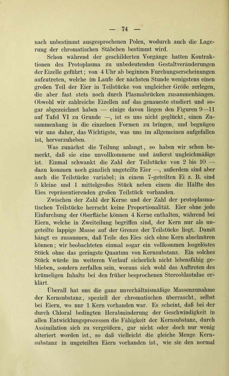 nach unbestimmt ausgesprochenen Polen, wodurch auch clie Lage- rung der chromatischen Stäbchen bestimmt wird. Schon während der geschilderten Vorgänge hatten Kontrak- tionen des Protoplasma zu unbedeutenden Gestaltveränderungen der Eizelle geführt; von 4 Uhr ab beginnen Furchungserscheinungen aufzutreten, welche im Laufe der nächsten Stunde wenigstens einen großen Teil der Eier in Teilstücke von ungleicher Größe zerlegen, die aber fast stets noch durch Plasmabrücken Zusammenhängen. Obwohl wir zahlreiche Eizellen auf das genaueste studiert und so- gar abgezeichnet haben — einige davon liegen den Figuren 9—11 auf Tafel VI zu Grunde —, ist es uns nicht geglückt, einen Zu- sammenhang in die einzelnen Formen zu bringen, und begnügen wir uns daher, das Wichtigste, was uns im allgemeinen aufgefallen ist, hervorzuheben. Was zunächst die Teilung anlangt, so haben wir schon be- merkt, daß sie eine unvollkommene und äußerst ungleichmäßige ist. Einmal schwankt die Zahl der Teilstücke von 2 bis 10 — dazu kommen noch gänzlich ungeteilte Eier —, außerdem sind aber auch die Teilstücke variabel; in einem 7-geteilten Ei z. B. sind 5 kleine und 1 mittelgroßes Stück neben einem die Hälfte des Eies repräsentierenden großen Teilstück vorhanden. Zwischen der Zahl der Kerne und der Zahl der protoplasma- tischen Teilstücke herrscht keine Proportionalität. Eier ohne jede Einfurchung der Oberfläche können 4 Kerne enthalten, während bei Eiern, welche in Zweiteilung begriffen sind, der Kern nur als un- geteilte lappige Masse auf der Grenze der Teilstücke liegt. Damit hängt es zusammen, daß Teile des Eies sich ohne Kern abschnüren können; wir beobachteten einmal sogar ein vollkommen losgelöstes Stück ohne das geringste Quantum von Kernsubstanz. Ein solches Stück würde im weiteren Verlauf sicherlich nicht lebensfähig ge- blieben,, sondern zerfallen sein, woraus sich wohl das Auftreten des krümeligen Inhalts bei den früher besprochenen Stereoblastulae er- klärt. Überall hat uns die ganz unverhältnismäßige Massenzunahme der Kernsubstanz, speziell der chromatischen überrascht, seihst bei Eiern, wo nur 1 Kern vorhanden war. Es scheint, daß hei der durch Cliloral bedingten Herabminderung der Geschwindigkeit in allen Entwicklungsprozessen die Fähigkeit der Kernsubstanz, durch Assimilation sich zu vergrößern, gar nicht oder doch nur wenig alteriert worden ist, so daß vielleicht die gleiche Menge Kern- substanz in ungeteilten Eiern vorhanden ist, wie sie den normal