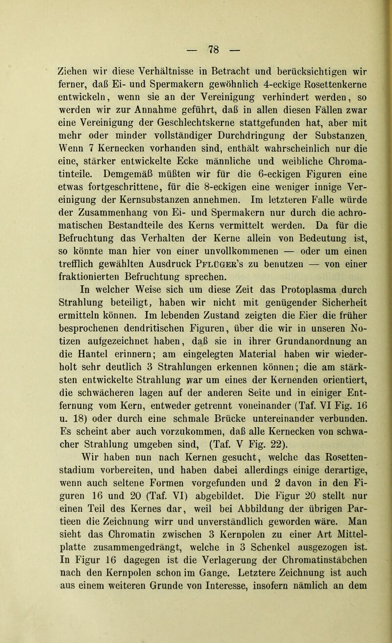 Ziehen wir diese Verhältnisse in Betracht und berücksichtigen wir ferner, daß Ei- und Spermakern gewöhnlich 4-eckige Rosettenkerne entwickeln, wenn sie an der Vereinigung verhindert werden, so werden wir zur Annahme geführt, daß in allen diesen Fällen zwar eine Vereinigung der Geschlechtskerne stattgefunden hat, aber mit mehr oder minder vollständiger Durchdringung der Substanzen Wenn 7 Kernecken vorhanden sind, enthält wahrscheinlich nur die eine, stärker entwickelte Ecke männliche und weibliche Chroma- tinteile. Demgemäß müßten wir für die 6-eckigen Figuren eine etwas fortgeschrittene, für die 8-eckigen eine weniger innige Ver- einigung der Kernsubstanzen annehmen. Im letzteren Falle würde der Zusammenhang von Ei- und Spermakern nur durch die achro- matischen Bestandteile des Kerns vermittelt werden. Da für die Befruchtung das Verhalten der Kerne allein von Bedeutung ist, so könnte man hier von einer unvollkommenen — oder um einen trefflich gewählten Ausdruck Pflüger’s zu benutzen — von einer fraktionierten Befruchtung sprechen. In welcher Weise sich um diese Zeit das Protoplasma durch Strahlung beteiligt, haben wir nicht mit genügender Sicherheit ermitteln können. Im lebenden Zustand zeigten die Eier die früher besprochenen dendritischen Figuren, über die wir in unseren No- tizen aufgezeichnet haben, daß sie in ihrer Grundanordnung an die Hantel erinnern; am eingelegten Material haben wir wieder- holt sehr deutlich 3 Strahlungen erkennen können; die am stärk- sten entwickelte Strahlung war um eines der Kernenden orientiert, die schwächeren lagen auf der anderen Seite und in einiger Ent- fernung vom Kern, entweder getrennt voneinander (Taf. VI Fig. 16 u. 18) oder durch eine schmale Brücke untereinander verbunden. Es scheint aber auch vorzukommen, daß alle Kernecken von schwa- cher Strahlung umgeben sind, (Taf. V Fig. 22). Wir haben nun nach Kernen gesucht, welche das Rosetten- stadium vorbereiten, und haben dabei allerdings einige derartige, wenn auch seltene Formen vorgefunden und 2 davon in den Fi- guren 16 und 20 (Taf. VI) abgebildet. Die Figur 20 stellt nur einen Teil des Kernes dar, weil bei Abbildung der übrigen Par- tieen die Zeichnung wirr und unverständlich geworden wäre. Man sieht das Chromatin zwischen 3 Kernpolen zu einer Art Mittel- platte zusammengedrängt, welche in 3 Schenkel ausgezogen ist. In Figur 16 dagegen ist die Verlagerung der Chromatinstäbchen nach den Kernpolen schon im Gange. Letztere Zeichnung ist auch aus einem weiteren Grunde von Interesse, insofern nämlich an dem