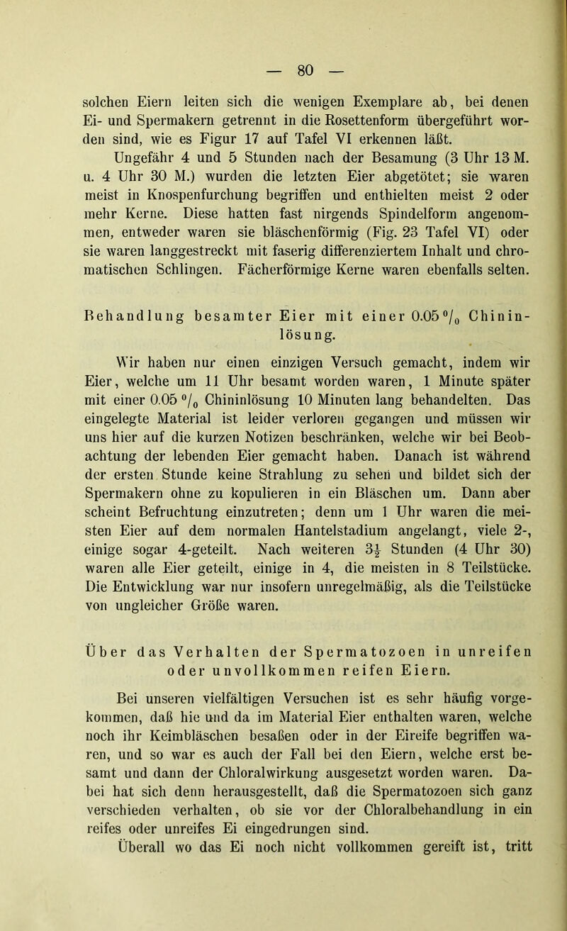 solchen Eiern leiten sich die wenigen Exemplare ab, bei denen Ei- und Spermakern getrennt in die Rosettenform übergeführt wor- den sind, wie es Figur 17 auf Tafel VI erkennen läßt. Ungefähr 4 und 5 Stunden nach der Besamung (3 Uhr 13 M. u. 4 Uhr 30 M.) wurden die letzten Eier abgetötet; sie waren meist in Knospenfurchung begriffen und enthielten meist 2 oder mehr Kerne. Diese hatten fast nirgends Spindelform angenom- men, entweder waren sie bläschenförmig (Fig. 23 Tafel YI) oder sie waren langgestreckt mit faserig differenziertem Inhalt und chro- matischen Schlingen. Fächerförmige Kerne waren ebenfalls selten. Behandlung besamter Eier mit einer 0.05°/0 Chinin- lösung. Wir haben nur einen einzigen Versuch gemacht, indem wir Eier, welche um 11 Uhr besamt worden waren, 1 Minute später mit einer 0.05 °/0 Chininlösung 10 Minuten lang behandelten. Das eingelegte Material ist leider verloren gegangen und müssen wir uns hier auf die kurzen Notizen beschränken, welche wir bei Beob- achtung der lebenden Eier gemacht haben. Danach ist während der ersten Stunde keine Strahlung zu sehen und bildet sich der Spermakern ohne zu kopulieren in ein Bläschen um. Dann aber scheint Befruchtung einzutreten; denn um 1 Uhr waren die mei- sten Eier auf dem normalen Hantelstadium angelangt, viele 2-, einige sogar 4-geteilt. Nach weiteren 3| Stunden (4 Uhr 30) waren alle Eier geteilt, einige in 4, die meisten in 8 Teilstücke. Die Entwicklung war nur insofern unregelmäßig, als die Teilstücke von ungleicher Größe waren. Über das Verhalten der Spermatozoen in unreifen oder unvollkommen reifen Eiern. Bei unseren vielfältigen Versuchen ist es sehr häufig vorge- kommen, daß hie und da im Material Eier enthalten waren, welche noch ihr Keimbläschen besaßen oder in der Eireife begriffen wa- ren, und so war es auch der Fall bei den Eiern, welche erst be- samt und dann der Chloralwirkung ausgesetzt worden waren. Da- bei hat sich denn herausgestellt, daß die Spermatozoen sich ganz verschieden verhalten, ob sie vor der Chloralbehandlung in ein reifes oder unreifes Ei eingedrungen sind. Überall wo das Ei noch nicht vollkommen gereift ist, tritt