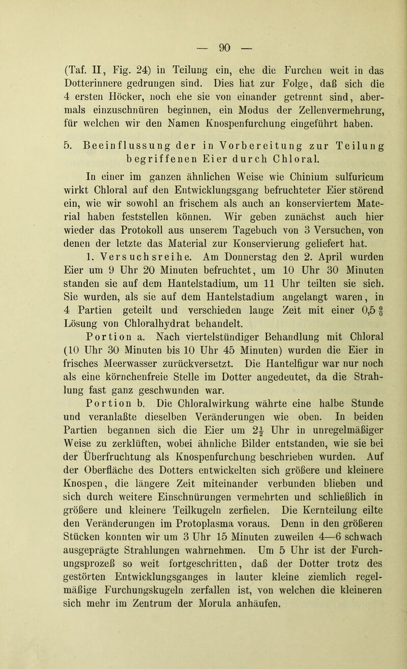 (Taf. II, Fig. 24) in Teilung ein, ehe die Furchen weit in das Dotterinnere gedrungen sind. Dies hat zur Folge, daß sich die 4 ersten Höcker, noch ehe sie von einander getrennt sind, aber- mals einzuschnüren beginnen, ein Modus der Zellenvermehrung, für welchen wir den Namen Knospenfurchung eingeführt haben. 5. Beeinflussung der in Vorbereitung zur Teilung- begriffenen Eier durch Chloral. In einer im ganzen ähnlichen Weise wie Chinium sulfuricum wirkt Chloral auf den Entwicklungsgang befruchteter Eier störend ein, wie wir sowohl an frischem als auch an konserviertem Mate- rial haben feststellen können. Wir geben zunächst auch hier wieder das Protokoll aus unserem Tagebuch von 3 Versuchen, von denen der letzte das Material zur Konservierung geliefert hat. 1. Versuchsreihe. Am Donnerstag den 2. April wurden Eier um 9 Uhr 20 Minuten befruchtet, um 10 Uhr 30 Minuten standen sie auf dem Hantelstadium, um 11 Uhr teilten sie sich. Sie wurden, als sie auf dem Hantelstadium angelangt waren, in 4 Partien geteilt und verschieden lange Zeit mit einer 0,5 $ Lösung von Chloralhydrat behandelt. Portion a. Nach viertelstündiger Behandlung mit Chloral (10 Uhr 30 Minuten bis 10 Uhr 45 Minuten) wurden die Eier in frisches Meerwasser zurückversetzt. Die Hantelfigur war nur noch als eine körnchenfreie Stelle im Dotter angedeutet, da die Strah- lung fast ganz geschwunden war. Portion b. Die Chloralwirkung währte eine halbe Stunde und veranlaßte dieselben Veränderungen wie oben. In beiden Partien begannen sich die Eier um Uhr in unregelmäßiger Weise zu zerklüften, wobei ähnliche Bilder entstanden, wie sie bei der Überfruchtung als Knospenfurchung beschrieben wurden. Auf der Oberfläche des Dotters entwickelten sich größere und kleinere Knospen, die längere Zeit miteinander verbunden blieben und sich durch weitere Einschnürungen vennehrten und schließlich in größere und kleinere Teilkugeln zerfielen. Die Kernteilung eilte den Veränderungen im Protoplasma voraus. Denn in den größeren Stücken konnten wir um 3 Uhr 15 Minuten zuweilen 4—6 schwach ausgeprägte Strahlungen wahrnehmen. Um 5 Uhr ist der Furch- ungsprozeß so weit fortgeschritten, daß der Dotter trotz des gestörten Entwicklungsganges in lauter kleine ziemlich regel- mäßige Furchungskugeln zerfallen ist, von welchen die kleineren sich mehr im Zentrum der Morula anhäufen.