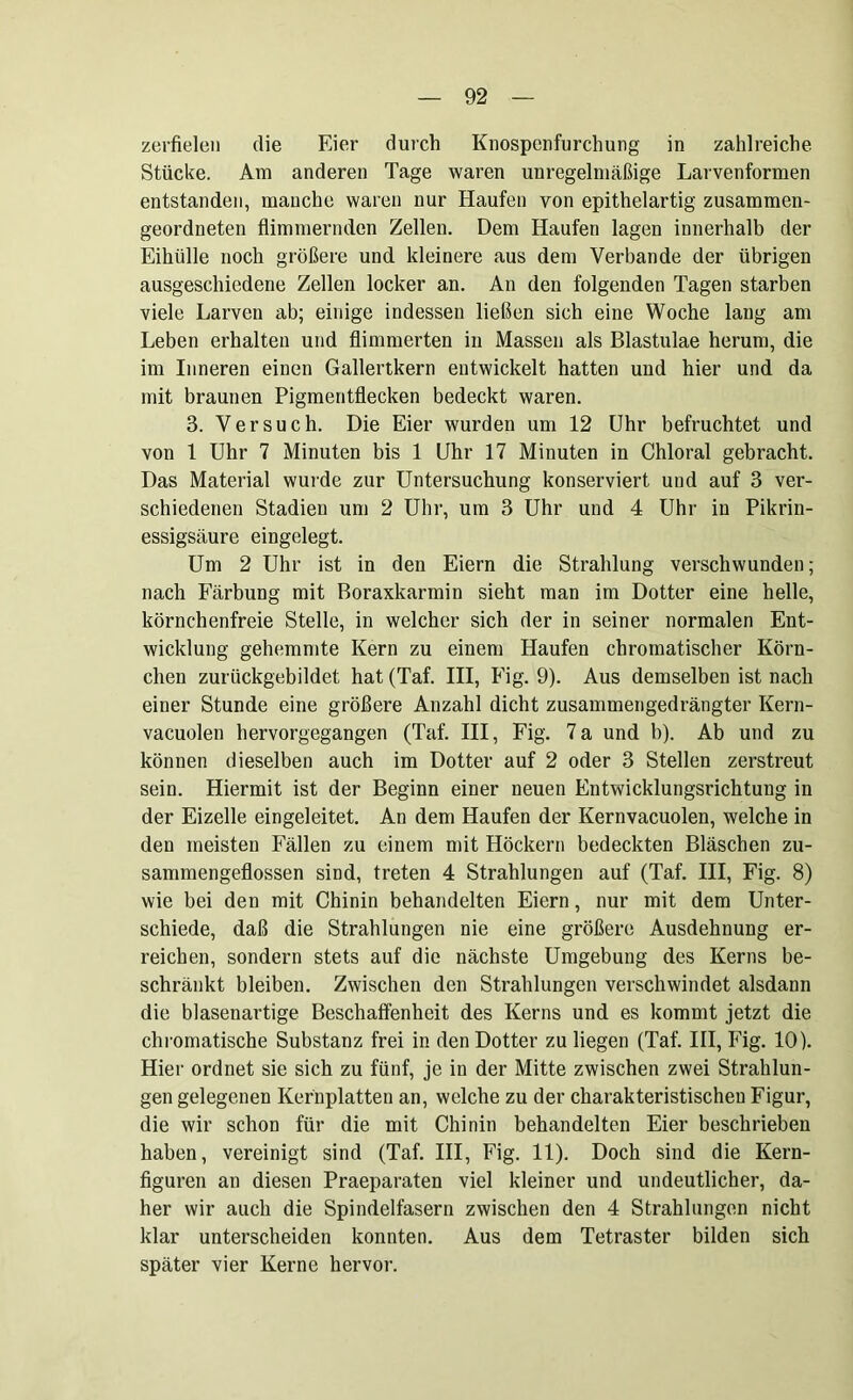 zerfielen die Eier durch Knospenfurchung in zahlreiche Stücke. Am anderen Tage waren unregelmäßige Larvenformen entstanden, manche waren nur Haufen von epithelartig zusammen- geordneten flimmernden Zellen. Dem Haufen lagen innerhalb der Eihülle noch größere und kleinere aus dem Verbände der übrigen ausgeschiedene Zellen locker an. An den folgenden Tagen starben viele Larven ab; einige indessen ließen sich eine Woche lang am Leben erhalten und flimmerten in Massen als Blastulae herum, die im Inneren einen Gallertkern entwickelt hatten und hier und da mit braunen Pigmentflecken bedeckt waren. 3. Versuch. Die Eier wurden um 12 Uhr befruchtet und von 1 Uhr 7 Minuten bis 1 Uhr 17 Minuten in Chloral gebracht. Das Material wurde zur Untersuchung konserviert und auf 3 ver- schiedenen Stadien um 2 Uhr, um 3 Uhr und 4 Uhr in Pikrin- essigsäure eingelegt. Um 2 Uhr ist in den Eiern die Strahlung verschwunden; nach Färbung mit Boraxkarmin sieht man im Dotter eine helle, körnchenfreie Stelle, in welcher sich der in seiner normalen Ent- wicklung gehemmte Kern zu einem Haufen chromatischer Körn- chen zurückgebildet hat (Taf. III, Fig. 9). Aus demselben ist nach einer Stunde eine größere Anzahl dicht zusammengedrängter Kern- vacuolen hervorgegangen (Taf. III, Fig. 7 a und b). Ab und zu könuen dieselben auch im Dotter auf 2 oder 3 Stellen zerstreut sein. Hiermit ist der Beginn einer neuen Entwicklungsrichtung in der Eizelle eingeleitet. An dem Haufen der Kernvacuolen, welche in den meisten Fällen zu einem mit Höckern bedeckten Bläschen zu- sammengeflossen sind, treten 4 Strahlungen auf (Taf. III, Fig. 8) wie bei den mit Chinin behandelten Eiern, nur mit dem Unter- schiede, daß die Strahlungen nie eine größere Ausdehnung er- reichen, sondern stets auf die nächste Umgebung des Kerns be- schränkt bleiben. Zwischen den Strahlungen verschwindet alsdann die blasenartige Beschaffenheit des Kerns und es kommt jetzt die chromatische Substanz frei in den Dotter zu liegen (Taf. III, Fig. 10). Hier ordnet sie sich zu fünf, je in der Mitte zwischen zwei Strahlun- gen gelegenen Kernplatten an, welche zu der charakteristischen Figur, die wir schon für die mit Chinin behandelten Eier beschrieben haben, vereinigt sind (Taf. III, Fig. 11). Doch sind die Kern- figuren an diesen Praeparaten viel kleiner und undeutlicher, da- her wir auch die Spindelfasern zwischen den 4 Strahlungen nicht klar unterscheiden konnten. Aus dem Tetraster bilden sich später vier Kerne hervor.