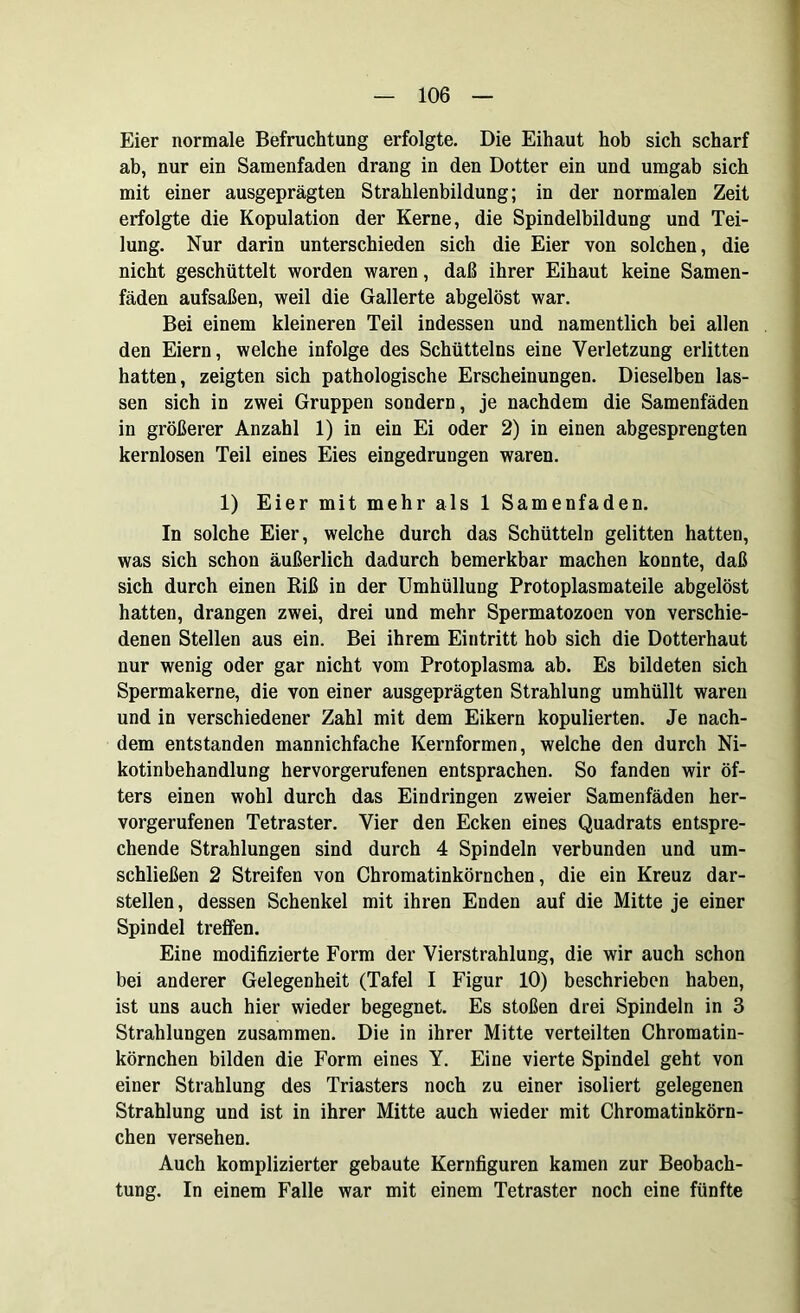 Eier normale Befruchtung erfolgte. Die Eihaut hob sich scharf ab, nur ein Samenfaden drang in den Dotter ein und umgab sich mit einer ausgeprägten Strahlenbildung; in der normalen Zeit erfolgte die Kopulation der Kerne, die Spindelbildung und Tei- lung. Nur darin unterschieden sich die Eier von solchen, die nicht geschüttelt worden waren, daß ihrer Eihaut keine Samen- fäden aufsaßen, weil die Gallerte abgelöst war. Bei einem kleineren Teil indessen und namentlich bei allen den Eiern, welche infolge des Schütteins eine Verletzung erlitten hatten, zeigten sich pathologische Erscheinungen. Dieselben las- sen sich in zwei Gruppen sondern, je nachdem die Samenfäden in größerer Anzahl 1) in ein Ei oder 2) in einen abgesprengten kernlosen Teil eines Eies eingedrungen waren. 1) Eier mit mehr als 1 Samenfaden. In solche Eier, welche durch das Schütteln gelitten hatten, was sich schon äußerlich dadurch bemerkbar machen konnte, daß sich durch einen Biß in der Umhüllung Protoplasmateile abgelöst hatten, drangen zwei, drei und mehr Spermatozoen von verschie- denen Stellen aus ein. Bei ihrem Eintritt hob sich die Dotterhaut nur wenig oder gar nicht vom Protoplasma ab. Es bildeten sich Spermakerne, die von einer ausgeprägten Strahlung umhüllt waren und in verschiedener Zahl mit dem Eikern kopulierten. Je nach- dem entstanden mannichfache Kernformen, welche den durch Ni- kotinbehandlung hervorgerufenen entsprachen. So fanden wir öf- ters einen wohl durch das Eindringen zweier Samenfäden her- vorgerufenen Tetraster. Vier den Ecken eines Quadrats entspre- chende Strahlungen sind durch 4 Spindeln verbunden und um- schließen 2 Streifen von Chromatinkörnchen, die ein Kreuz dar- stellen , dessen Schenkel mit ihren Enden auf die Mitte je einer Spindel treffen. Eine modifizierte Form der Vierstrahlung, die wir auch schon bei anderer Gelegenheit (Tafel I Figur 10) beschrieben haben, ist uns auch hier wieder begegnet. Es stoßen drei Spindeln in 3 Strahlungen zusammen. Die in ihrer Mitte verteilten Chromatin- körnchen bilden die Form eines Y. Eine vierte Spindel geht von einer Strahlung des Triasters noch zu einer isoliert gelegenen Strahlung und ist in ihrer Mitte auch wieder mit Chromatinkörn- chen versehen. Auch komplizierter gebaute Kernfiguren kamen zur Beobach- tung. In einem Falle war mit einem Tetraster noch eine fünfte