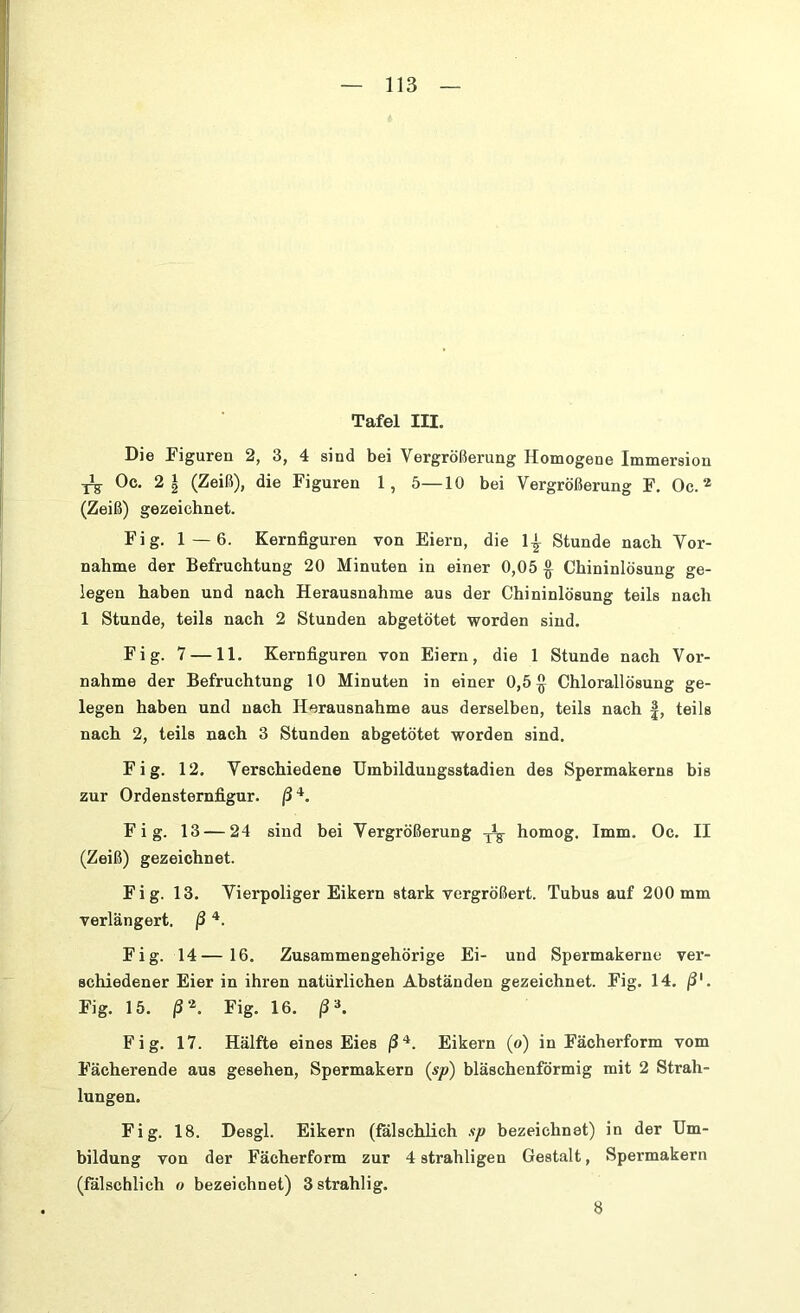 Tafel III. Die Figuren 2, 3, 4 sind bei Vergrößerung Homogene Immersion ^ Oc. 2 | (Zeiß), die Figuren 1, 5—10 bei Vergrößerung F. Oe.2 (Zeiß) gezeichnet. Fig. 1 — 6. Kernfiguren von Eiern, die 1^ Stunde nach Vor- nahme der Befruchtung 20 Minuten in einer 0,05 § Chininlösung ge- legen haben und nach Herausnahme aus der Chininlösung teils nach 1 Stunde, teils nach 2 Stunden abgetötet worden sind. Fig. 7 —11. Kernfiguren von Eiern, die 1 Stunde nach Vor- nahme der Befruchtung 10 Minuten in einer 0,5 § Chlorallösung ge- legen haben und nach Herausnahme aus derselben, teils nach J, teils nach 2, teils nach 3 Stunden abgetötet worden sind. Fig. 12. Verschiedene Umbildungsstadien des Spermakerns bis zur Ordensternfigur, ß4. Fig. 13 — 24 sind bei Vergrößerung ^ homog. Imm. Oc. II (Zeiß) gezeichnet. Fig. 13. Vierpoliger Eikern stark vergrößert. Tubus auf 200mm verlängert, ß4. Fig. 14—16. Zusammengehörige Ei- und Spermakerne ver- schiedener Eier in ihren natürlichen Abständen gezeichnet. Fig. 14. ß‘. Fig. 15. ß2. Fig. 16. ß's. Fig. 17. Hälfte eines Eies ß4. Eikern (o) in Fächerform vom Fächerende aus gesehen, Spermakern (sp) bläschenförmig mit 2 Strah- lungen. Fig. 18. Desgl. Eikern (fälschlich sp bezeichnet) in der Um- bildung von der Fächerform zur 4 strahligen Gestalt, Spermakern (fälschlich o bezeichnet) 3strahlig. 8