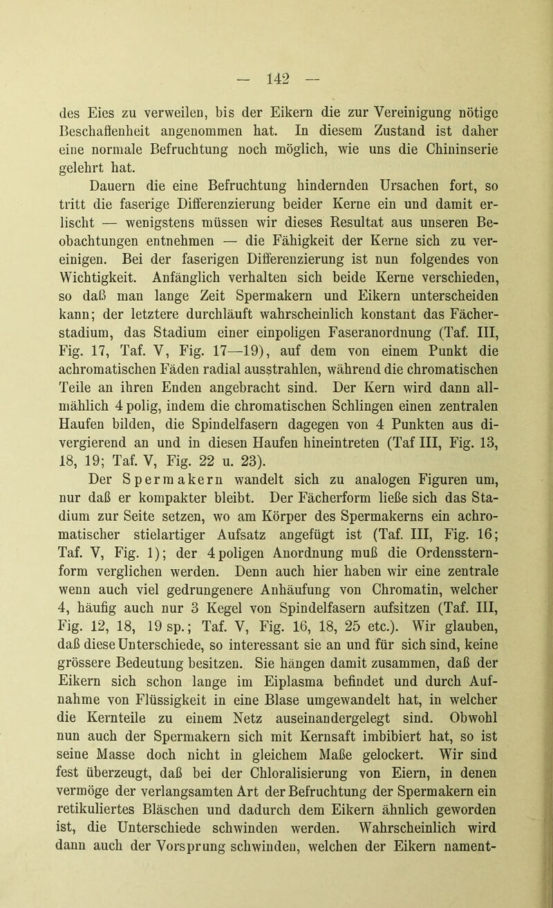 des Eies zu verweilen, bis der Eikern die zur Vereinigung nötige Beschaffenheit angenommen hat. In diesem Zustand ist daher eine normale Befruchtung noch möglich, wie uns die Chininserie gelehrt hat. Dauern die eine Befruchtung hindernden Ursachen fort, so tritt die faserige Differenzierung beider Kerne ein und damit er- lischt — wenigstens müssen wir dieses Resultat aus unseren Be- obachtungen entnehmen — die Fähigkeit der Kerne sich zu ver- einigen. Bei der faserigen Differenzierung ist nun folgendes von Wichtigkeit. Anfänglich verhalten sich beide Kerne verschieden, so daß man lange Zeit Spermakern und Eikern unterscheiden kann; der letztere durchläuft wahrscheinlich konstant das Fächer- stadium, das Stadium einer einpoligen Faseranordnung (Taf. III, Fig. 17, Taf. V, Fig. 17—19), auf dem von einem Punkt die achromatischen Fäden radial aus$trahlen, während die chromatischen Teile an ihren Enden angebracht sind. Der Kern wird dann all- mählich 4 polig, indem die chromatischen Schlingen einen zentralen Haufen bilden, die Spindelfasern dagegen von 4 Punkten aus di- vergierend an und in diesen Haufen hineintreten (Taf III, Fig. 13, 18, 19; Taf. V, Fig. 22 u. 23). Der Spermakern wandelt sich zu analogen Figuren um, nur daß er kompakter bleibt. Der Fächerform ließe sich das Sta- dium zur Seite setzen, wo am Körper des Spermakerns ein achro- matischer stielartiger Aufsatz angefügt ist (Taf. III, Fig. 16; Taf. V, Fig. 1); der 4poligen Anordnung muß die Ordensstern- form verglichen werden. Denn auch hier haben wir eine zentrale wenn auch viel gedrungenere Anhäufung von Chromatin, welcher 4, häufig auch nur 3 Kegel von Spindelfasern aufsitzen (Taf. III, Fig. 12, 18, 19 sp.; Taf. V, Fig. 16, 18, 25 etc.). Wir glauben, daß diese Unterschiede, so interessant sie an und für sich sind, keine grössere Bedeutung besitzen. Sie hängen damit zusammen, daß der Eikern sich schon lange im Eiplasma befindet und durch Auf- nahme von Flüssigkeit in eine Blase umgewandelt hat, in welcher die Kernteile zu einem Netz auseinandergelegt sind. Obwohl nun auch der Spermakern sich mit Kernsaft imbibiert hat, so ist seine Masse doch nicht in gleichem Maße gelockert. Wir sind fest überzeugt, daß bei der Chloralisierung von Eiern, in denen vermöge der verlangsamten Art der Befruchtung der Spermakern ein retikuliertes Bläschen und dadurch dem Eikern ähnlich geworden ist, die Unterschiede schwinden werden. Wahrscheinlich wird dann auch der Vorsprung schwinden, welchen der Eikern nament-