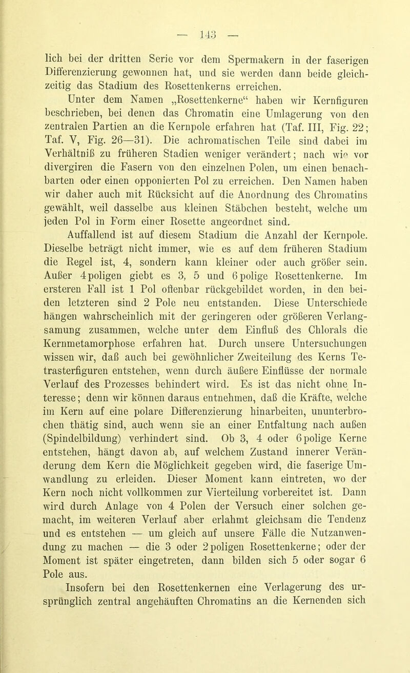 lieh bei der dritten Serie vor dem Spermakern in der faserigen Differenzierung gewonnen hat, und sie werden dann beide gleich- zeitig das Stadium des Rosettenkerns erreichen. Unter dem Namen „Rosettenkerne“ haben wir Kernfiguren beschrieben, bei denen das Chromatin eine Umlagerung von den zentralen Partien an die Kernpole erfahren hat (Taf. III, Fig. 22; Taf. V, Fig. 26—31). Die achromatischen Teile sind dabei im Verhältniß zu früheren Stadien weniger verändert; nach wie vor divergiren die Fasern von den einzelnen Polen, um einen benach- barten oder einen opponierten Pol zu erreichen. Den Namen haben wir daher auch mit Rücksicht auf die Anordnung des Chromatins gewählt, weil dasselbe aus kleinen Stäbchen besteht, welche um jeden Pol in Form einer Rosette angeordnet sind. Auffallend ist auf diesem Stadium die Anzahl der Kernpole. Dieselbe beträgt nicht immer, wie es auf dem früheren Stadium die Regel ist, 4, sondern kann kleiner oder auch größer sein. Außer 4poligen giebt es 3, 5 und öpolige Rosettenkerne. Im ersteren Fall ist 1 Pol offenbar rückgebildet worden, in den bei- den letzteren sind 2 Pole neu entstanden. Diese Unterschiede hängen wahrscheinlich mit der geringeren oder größeren Verlang- samung zusammen, welche unter dem Einfluß des Chlorals die Kernmetamorphose erfahren hat. Durch unsere Untersuchungen wissen wir, daß auch bei gewöhnlicher Zweiteilung des Kerns Te- trasterfiguren entstehen, wenn durch äußere Einflüsse der normale Verlauf des Prozesses behindert wird. Es ist das nicht ohne In- teresse ; denn wir können daraus entnehmen, daß die Kräfte, welche im Kern auf eine polare Differenzierung hinarbeiten, ununterbro- chen thätig sind, auch wenn sie an einer Entfaltung nach außen (Spindelbildung) verhindert sind. Ob 3, 4 oder Gpolige Kerne entstehen, hängt davon ab, auf welchem Zustand innerer Verän- derung dem Kern die Möglichkeit gegeben wird, die faserige Um- wandlung zu erleiden. Dieser Moment kann eintreten, wo der Kern noch nicht vollkommen zur Vierteilung vorbereitet ist. Dann wird durch Anlage von 4 Polen der Versuch einer solchen ge- macht, im weiteren Verlauf aber erlahmt gleichsam die Tendenz und es entstehen — um gleich auf unsere Fälle die Nutzanwen- dung zu machen — die 3 oder 2 poligen Rosettenkerne; oder der Moment ist später eingetreten, dann bilden sich 5 oder sogar 6 Pole aus. Insofern bei den Rosettenkernen eine Verlagerung des ur- sprünglich zentral angehäuften Chromatins an die Kernenden sich