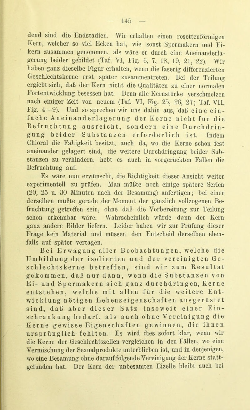 dend sind die Endstadien. Wir erhalten einen rosettenförmigen Kern, welcher so viel Ecken hat, wie sonst Spermakern und Ei- kern zusammen genommen, als wäre er durch eine Aneinanderla- gerung beider gebildet (Taf. VI, Fig. 6, 7, 18, 19, 21, 22). Wir haben ganz dieselbe Figur erhalten, wenn die faserig differenzierten Geschlechtskerne erst später zusammentreten. Bei der Teilung ergiebt sich, daß der Kern nicht die Qualitäten zu einer normalen Fortentwicklung besessen hat. Denn alle Kernstücke verschmelzen nach einiger Zeit von neuem (Taf. VI, Fig. 25, 2G, 27; Taf. VII, Fig. 4—9). Und so sprechen wir uns dahin aus, daß eine ein- fache Aneinanderlagerung der Kerne nicht für die Befruchtung ausreicht, sondern eine Durchdrin- gung beider Substanzen erforderlich ist. Indem Chloral die Fähigkeit besitzt, auch da, wo die Kerne schon fest aneinander gelagert sind, die weitere Durchdringung beider Sub- stanzen zu verhindern, hebt es auch in vorgerückten Fällen die Befruchtung auf. Es wäre nun erwünscht, die Richtigkeit dieser Ansicht weiter experimentell zu prüfen. Man müßte noch einige spätere Serien (20, 25 u. 30 Minuten nach der Besamung) anfertigen; bei einer derselben müßte gerade der Moment der gänzlich vollzogenen Be- fruchtung getroffen sein, ohne daß die Vorbereitung zur Teilung schon erkennbar wäre. Wahrscheinlich würde denn der Kern ganz andere Bilder liefern. Leider haben wir zur Prüfung dieser Frage kein Material und müssen den Entscheid derselben eben- falls auf später vertagen. Bei Erwägung aller Beobachtungen, welche die Umbildung der isolierten und der vereinigten Ge- schlechtskerne betreffen, sind wir zum Resultat gekommen, daß nur dann, wenn die Substanzen von Ei- und Spermakern sich ganz durchdringen, Kerne entstehen, welche mit allen für die weitere Ent- wicklung nötigen Lebenseigenschaften ausgerüstet sind, daß aber dieser Satz insoweit einer Ein- schränkung bedarf, als auch ohne Vereinigung die Kerne gewisse Eigenschaften gewinnen, die ihnen ursprünglich fehlten. Es wird dies sofort klar, wenn wir die Kerne der Geschlechtszellen vergleichen in den Fällen, wo eine Vermischung der Sexualprodukte unterblieben ist, und in denjenigen, wo eine Besamung ohne darauf folgende Vereinigung der Kerne statt- gefunden hat. Der Kern der unbesamten Eizelle bleibt auch bei