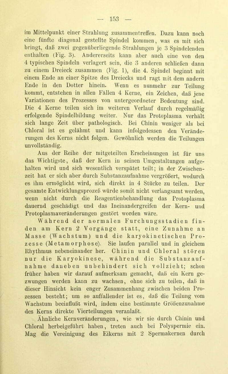 im Mittelpunkt einer Strahlung Zusammentreffen. Dazu kann noch eine fünfte diagonal gestellte Spindel kommen, was es mit sich bringt, daß zwei gegenüberliegende Strahlungen je 3 Spindelenden enthalten (Fig. 3). Andererseits kann aber auch eine von den 4 typischen Spindeln verlagert sein, die 3 anderen schließen dann zu einem Dreieck zusammen (Fig. 1), die 4. Spindel beginnt mit einem Ende an einer Spitze des Dreiecks und ragt mit dem andern Ende in den Dotter hinein. Wenn es nunmehr zur Teilung kommt, entstehen in allen Fällen 4 Kerne, ein Zeichen, daß jene Variationen des Prozesses von untergeordneter Bedeutung sind. Die 4 Kerne teilen sich im weiteren Verlauf durch regelmäßig erfolgende Spindelbildung weiter. Nur das Protoplasma verhält sich lange Zeit über pathologisch. Bei Chinin weniger als bei Chloral ist es gelähmt und kann infolgedessen den Verände- rungen des Kerns nicht folgen. Gewöhnlich werden die Teilungen unvollständig. Aus der Reihe der mitgeteilten Erscheinungen ist für uns das Wichtigste, daß der Kern in seinen Umgestaltungen aufge- halten wird und sich wesentlich verspätet teilt; in der Zwischen- zeit hat er sich aber durch Substanzaufnahme vergrößert, wodurch es ihm ermöglicht wird, sich direkt in 4 Stücke zu teilen. Der gesamte Entwicklungsprozeß würde somit nicht verlangsamt werden, wenn nicht durch die Reagentienbehandlung das Protoplasma dauernd geschädigt und das Ineinandergreifen der Kern- und Protoplasmaveränderungen gestört worden wäre. Während der normalen Furchungsstadien fin- den am Kern 2 Vorgänge statt, eine Zunahme an Masse (Wachstum) und die karyokinetischeu Pro- zesse (Metamorphose). Sie laufen parallel und in gleichem Rhythmus nebeneinander her. Chinin und Chloral stören nur die Karyokinese, während die Substanz auf- nah m e daneben unbehindert sich vollzieht; schon früher haben wir darauf aufmerksam gemacht, daß ein Kern ge- zwungen werden kann zu wachsen, ohne sich zu teilen, daß in dieser Hinsicht kein enger Zusammenhang zwischen beiden Pro- zessen besteht; um so auffallender ist es, daß die Teilung vom Wachstum beeinflußt wird, indem eine bestimmte Größenzunahme des Kerns direkte Vierteilungen veranlaßt. Ähnliche Kernveränderungen, wie wir sie durch Chinin und Chloral herbeigeführt haben, treten auch bei Polyspermie ein. Mag die Vereinigung des Eikerns mit 2 Spermakernen durch