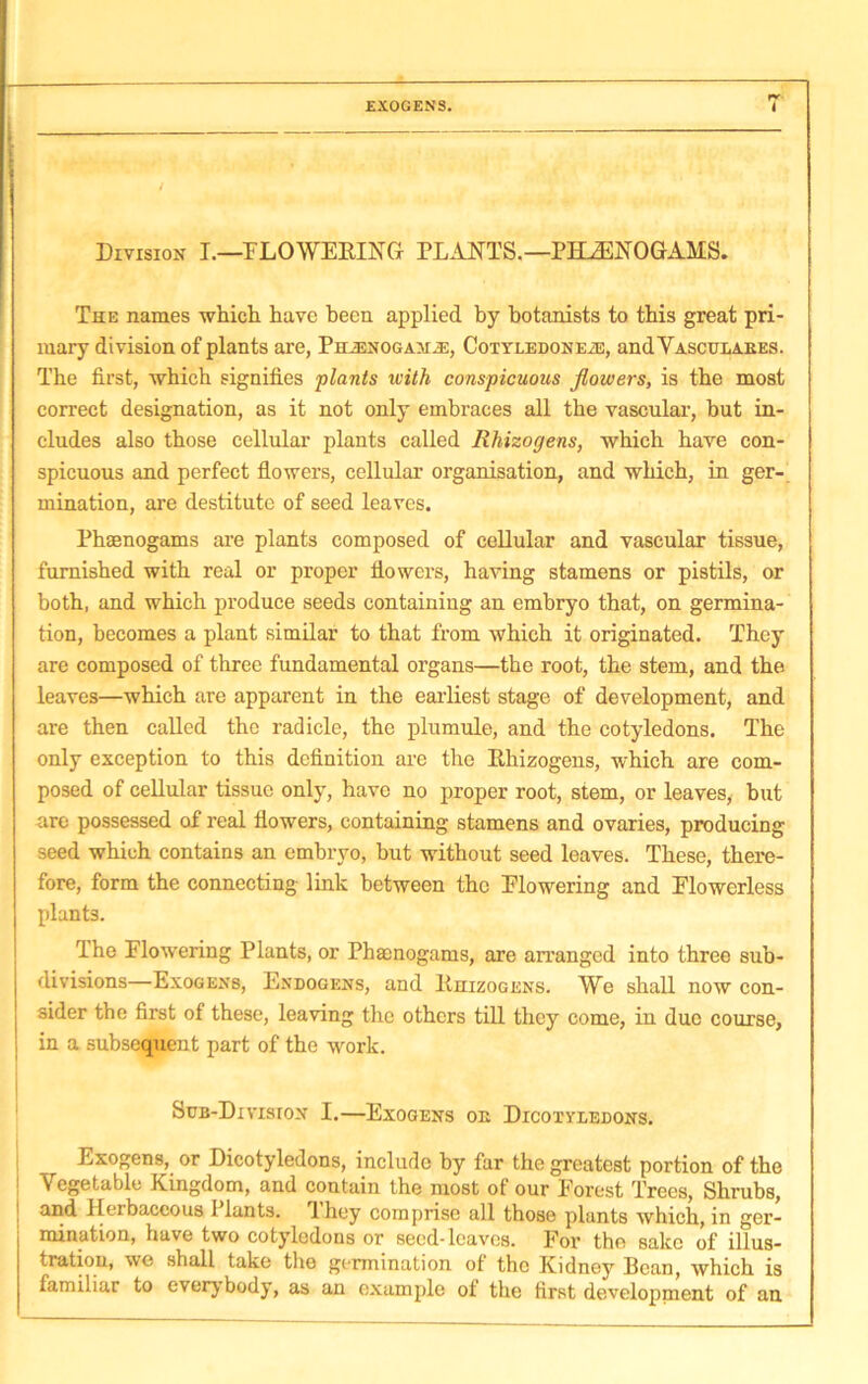 Division I.—FLOWERING PLANTS.—PHiENOGAMS. The names which have been applied by botanists to this great pri- mary division of plants are, Ph^noga:u.e, Cotyledone^, andVASCULABES. The first, which signifies plants with conspicuous flowers, is the most correct designation, as it not only embraces all the vascular, but in- cludes also those cellular plants called Rhizogens, which have con- spicuous and perfect flowers, cellular organisation, and which, in ger- mination, are destitute of seed leaves. Phaenogams are plants composed of cellular and vascular tissue, furnished with real or proper flowers, having stamens or pistils, or both, and which produce seeds containing an embryo that, on germina- tion, becomes a plant similar to that from which it originated. They are composed of three fundamental organs—the root, the stem, and the leaves—which are apparent in the earliest stage of development, and are then called the radicle, the plumule, and the cotyledons. The only exception to this definition are the Rhizogens, which are com- posed of cellular tissue only, have no proper root, stem, or leaves, but are possessed of real flowers, containing stamens and ovaries, producing seed which contains an embryo, but without seed leaves. These, there- fore, form the connecting link between the Plowering and Flowerless plants. The Flowering Plants, or Phaenogams, are arranged into three sub- divisions—Exogens, Endogens, and Rhizogens. We shall now con- sider the first of these, leaving the others till they come, iu due course, in a subsequent part of the work. Sub-Division I.—Exogens ok Dicotyledons. Exogens, or Dicotyledons, include by far the greatest portion of the Vegetable Kingdom, and contain the most of our Forest Trees, Shrubs, and Herbaceous Plants. They comprise all those plants which, in ger- mination, have two cotyledons or seed-leaves. For the sake of illus- tration, we shall take the germination of the Kidney Bean, which is familiar to everybody, as an example of the first development of an