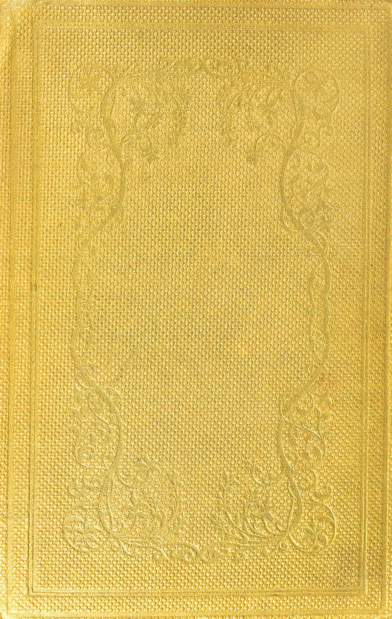 %2V m mmtm .» *• ;v n «• ? - V