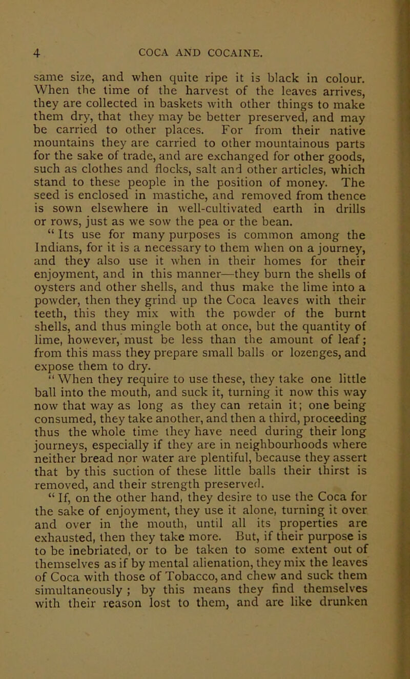 same size, and when quite ripe it is black in colour. When the time of the harvest of the leaves arrives, they are collected in baskets with other things to make them dry, that they may be better preserved, and may be carried to other places. For from their native mountains they are carried to other mountainous parts for the sake of trade, and are exchanged for other goods, such as clothes and flocks, salt and other articles, which stand to these people in the position of money. The seed is enclosed in mastiche, and removed from thence is sown elsewhere in well-cultivated earth in drills or rows, just as we sow the pea or the bean. “ Its use for many purposes is common among the Indians, for it is a necessary to them when on a journey, and they also use it when in their homes for their enjoyment, and in this manner—they burn the shells of oysters and other shells, and thus make the lime into a powder, then they grind up the Coca leaves with their teeth, this they mix with the powder of the burnt shells, and thus mingle both at once, but the quantity of lime, however, must be less than the amount of leaf; from this mass they prepare small balls or lozenges, and expose them to dry. “ When they require to use these, they take one little ball into the mouth, and suck it, turning it now this way now that way as long as they can retain it; one being consumed, they take another, and then a third, proceeding thus the whole time they have need during their long journeys, especially if they are in neighbourhoods where neither bread nor water are plentiful, because they assert that by this suction of these little balls their thirst is removed, and their strength preserved. “ If, on the other hand, they desire to use the Coca for the sake of enjoyment, they use it alone, turning it over and over in the mouth, until all its properties are exhausted, then they take more. But, if their purpose is to be inebriated, or to be taken to some extent out of themselves as if by mental alienation, they mix the leaves of Coca with those of Tobacco, and chew and suck them simultaneously ; by this means they find themselves with their reason lost to them, and are like drunken