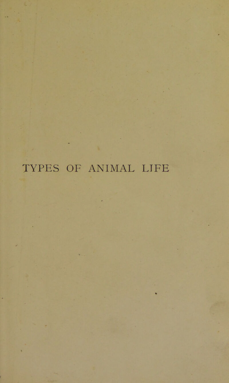 TYPES OF ANIMAL LIFE