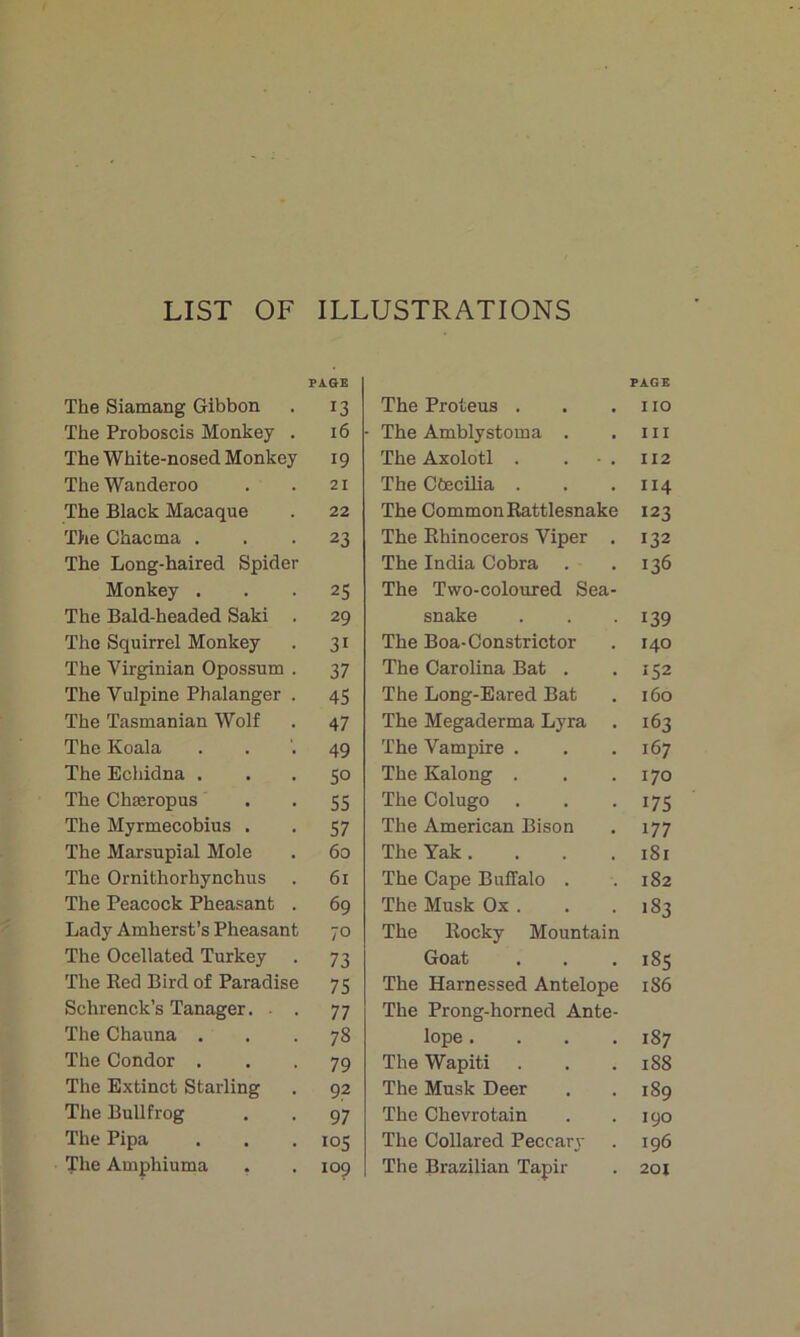 LIST OF ILLUSTRATIONS PAGE The Siamang Gibbon . 13 The Proboscis Monkey . 16 The White-nosed Monkey 19 TheWanderoo . . 21 The Black Macaque . 22 The Chacma ... 23 The Long-haired Spider Monkey ... 25 The Bald-headed Saki . 29 The Squirrel Monkey . 31 The Virginian Opossum . 37 The Vulpine Phalanger . 45 The Tasmanian Wolf . 47 The Koala . . -49 The Echidna ... 50 The Chseropus • • 55 The Myrmecobius . . 57 The Marsupial Mole . 60 The Ornithorhynchus . 61 The Peacock Pheasant . 69 Lady Amherst’s Pheasant 70 The Ocellated Turkey . 73 The Red Bird of Paradise 75 Schrenck’s Tanager. . . 77 The Chauna ... 78 The Condor ... 79 The Extinct Starling . 92 The Bullfrog . . 97 The Pipa . . .105 The Amphiuma . . 109 The Proteus . PAGE no The Amblystoma . III The Axolotl . . • . 112 The Ctecilia . 114 The Common Rattlesnake 123 The Rhinoceros Viper . 132 The India Cobra 136 The Two-coloured Sea- snake 139 The Boa-Constrictor 140 The Carolina Bat . 152 The Long-Eared Bat 160 The Megaderma Lyra . 163 The Vampire . 167 The Kalong . 170 The Colugo 175 The American Bison 177 The Yak.... 181 The Cape Buffalo . 182 The Musk Ox . 183 The Rocky Mountain Goat 185 The Harnessed Antelope 186 The Prong-horned Ante- lope .... 187 The Wapiti 188 The Musk Deer 189 The Chevrotain 190 The Collared Peccary 196 The Brazilian Tapir 201