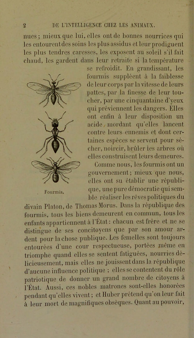nues; mieux que lui, elles ont rte bonnes nourrices qui les enlourentrtes soins les plus assidus et leur prodiguent les plus tendres caresses, les exposent au soleil s’il fait chaud, les gardent dans leur retraite si la température se refroidit. En grandissant, les fourmis suppléent à la faiblesse de leur corps par la vitesse de leurs pattes, par la finesse de leur tou- cher, par une cinquantaine d’yeux qui préviennent les dangers. Elles ont enfin à leur disposition un acide/ mordant qu’elles lancent contre leurs ennemis et dont cer- taines espèces se servent pour sé- cher, noircir, brûler les arbres où elles construisent leurs demeures. Comme nous, les fourmis ont un gouvernement: mieux que nous, elles ont su établir une républi- que, une pure démocratie qui sem- ble réaliser les rêves politiques du divain Platon, de Thomas Morus. Dans la république des fourmis, tous les biens demeurent en commun, tous les enfants appartiennent à l’État: chacun est frère et ne se distingue de ses concitoyens que par son amour ar- dent pour la chose publique. Les femelles sont toujours entourées d’une cour respectueuse, portées même en triomphe quand elles se sentent fatiguées, nourries dé- licieusement, mais elles ne jouissent dans la république d’aucune influence politique ; elles se contentent du rôle patriotique de donner un grand nombre de citoyens à l’État. Aussi, ces nobles matrones sont-elles honorées pendant qu’elles vivent ; et Huber prétend qu’on leur fait à leur mort de magnifiques obsèques. Quant au pouvoir. Fourmis.