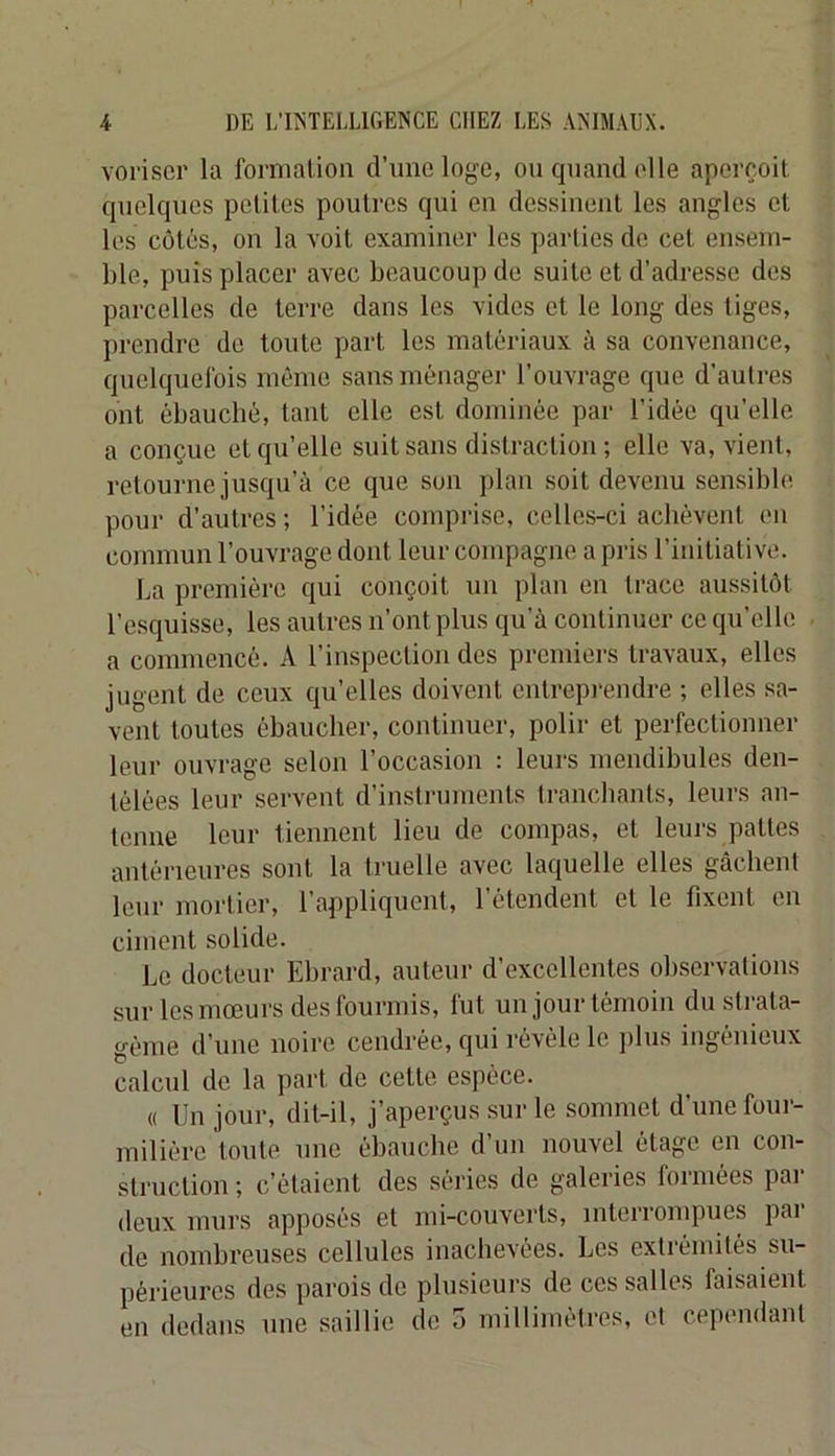 voi'iscr la formation d’une loge, on quand elle aperçoit quelques petites poutres qui en dessinent les angles et les côtés, on la voit examiner les parties de cet ensem- ble, puis placer avec beaucoup de suite et d’adresse des parcelles de terre dans les vides et le long des liges, prendre de toute part les matériaux à sa convenance, quelquefois même sans ménager l’ouvrage que d'autres ont ébauché, tant elle est dominée par l’idée qu’elle a conçue et qu’elle suit sans distraction ; elle va, vient, retourne jusqu’à ce que son plan soit devenu sensible pour d’autres ; l’idée comprise, celles-ci achèvent en commun l’ouvrage dont leur compagne a pris l’initiative. La première qui conçoit un plan en trace aussitôt l’e.squisse, les autres n’ont plus qu’à continuer ce qu’elle a commencé. A l’inspection des premiers travaux, elles jugent de ceux qu’elles doivent entreprendre ; elles .sa- vent toutes ébaucher, continuer, polir et perfectionner leur ouvrage selon l’occasion : leurs mendibules den- télées leur servent d’instruments tranchants, leurs an- tenne leur tiennent lieu de compas, et leurs pattes antérieures sont la truelle avec laquelle elles gâchent leur mortier, l’appliquent, l’étendent et le fixent en ciment solide. Le docteur Ebrard, auteur d’excellentes observations sur les mœurs des fourmis, fut un jour témoin du strata- gème d’une noire cendrée, qui révèle le jilus ingénieux calcul de la part de cette espèce. « Un jour, dit-il, j’aperçus sur le sommet d’une foui‘- miliérc toute une ébauche d’un nouvel étage en con- struction ; c’étaient des séries de galeries formées par deux murs apposés et mi-couverts, interrompues par de nombreuses cellules inachevées. Les extrémités su- périeures des parois de plusieurs de ces salles faisaient en dedans une saillie de o millimètres, et cependant