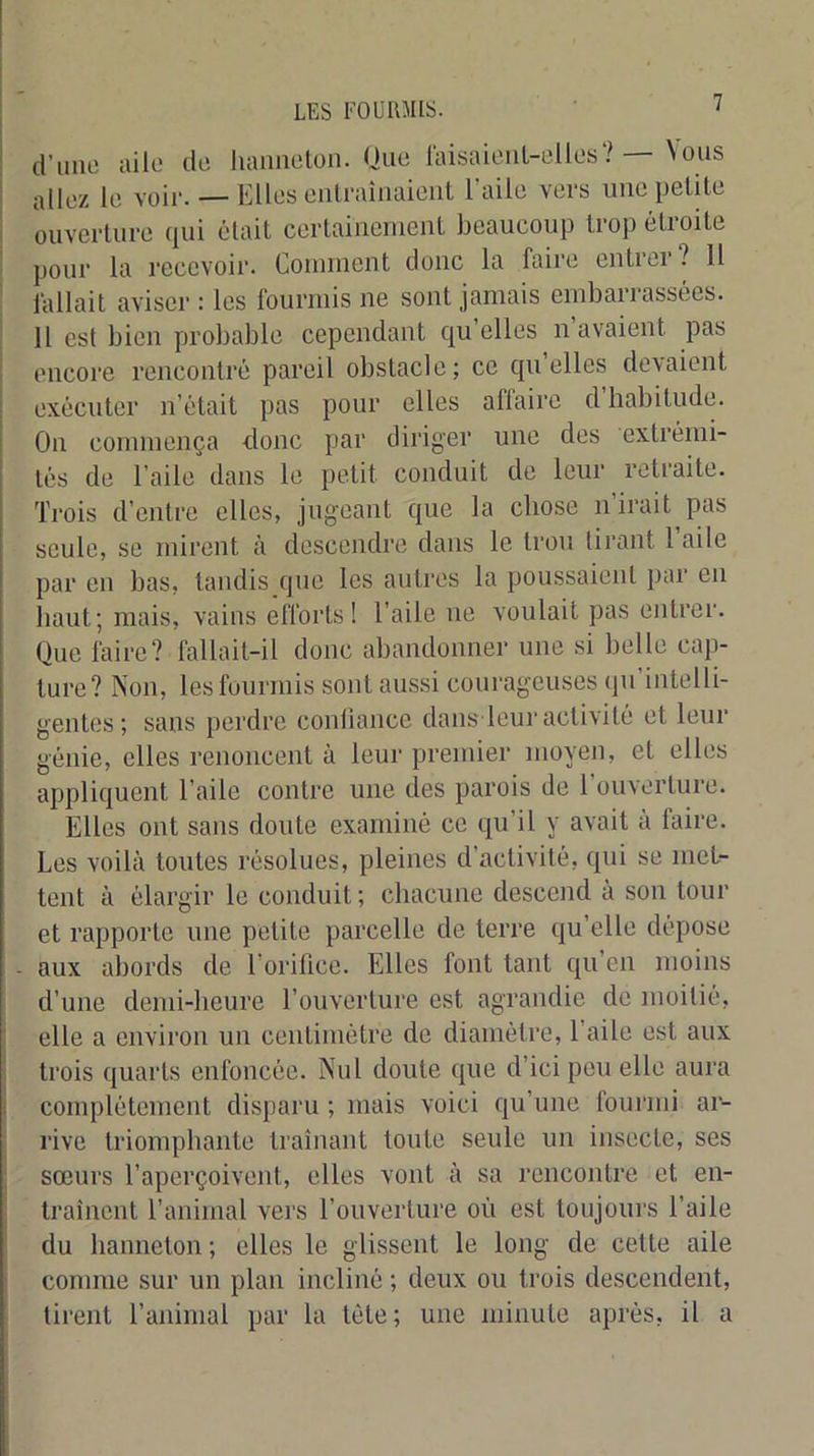 d’une aile de liaimelon. Que raisaieiiL-elles'? — Vous i allez le voir. — Elles entraînaient l’aile vers une petite i ouverture qui était certainement beaucoup trop étroite pour la recevoir. Comment donc la faire entrer? 11 lallait aviser : les fourmis ne sont jamais emban'assées. 11 est bien probable cependant qu’elles n avaient pas encore rencontré pareil obstacle; ce quelles devaient ; exécuter n’était pas pour elles affaire d habitude, i On commença donc par diriger une des extrémi- I tés de l’aile dans le petit conduit de leur retraite. Trois d’entre elles, jugeant que la chose n’irait pas seule, se mirent à descendre dans le trou tirant 1 aile par en bas, taudis que les autres la poussaient par en haut; mais, vains efforts! l’aile ne voulait pas entrer. Que faire? fallait-il donc abandonner une si belle cap- ture? Non, les fourmis sont aussi courageiuses (ju’intelti- gentes; sans perdre conliance dans leur activité et leur génie, elles renoncent à leur premier moyen, et elles appliquent l’aile contre une des parois de l’ouverture. Elles ont sans doute examiné ce qu’il y avait à faire. Les voilà toutes résolues, pleines d’activité, qui se met- tent à élargir le conduit ; chacune descend à son tour et rapporte une petite parcelle de terre qu’elle dépose - aux abords de l’orilice. Elles font tant qu’en moins d’une demi-heure l’ouverture est agrandie de moitié, elle a environ un centimètre de diamètre, l’aile est aux trois quarts enfoncée. Nul doute que d’ici peu elle aura complètement disparu ; mais voici qu’une foiu’ini ar- rive triomphante traînant toute seule un insecte, ses sœurs l’aperçoivent, elles vont à sa rencontre et en- traînent l’animal vers l’ouverture où est toujours l’aile du hanneton ; elles le glissent le long de cette aile connue sur un plan incliné ; deux ou trois descendent, tirent l’animal par la tête; une minute après, il a
