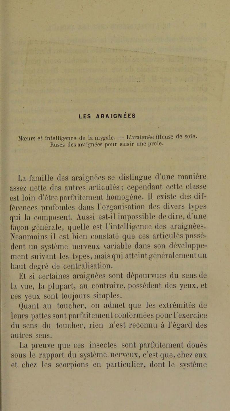 Mœurs et intelligence de la mygale. — L'ai’aignêe ftleuse de soie. Ruses des araignées pour saisir une proie. La famille des araignées se distingue d’nne manière assez nette des autres articulés ; cependant cette classe est loin d’être parfaitement homogène. Il existe des dif- férences profondes dans l’organisation des divers types qui la composent. Aussi est-il impossible de dire, d’une façon générale, quelle est l’intelligence des araignées. Néanmoins il est bien constaté que ces articulés possè- dent un système nerveux variable dans son développe- ment suivant les types, mais qui atteint généralement un haut degré de centralisation. Et si certaines araignées sont dépourvues du sens de la vue, la plupart, au contraire, possèdent des yeux, et ces yeux sont toujours simples. Quant au toucher, on admet que les extrémités do leurs pattes sont parfaitement conformées pour l’exercice du sens du toucher, rien n’est reconnu à l’égard des autres sens. La preuve que ces insectes sont parfaitement doués sous le rapport du système nerveux, c’est que, chez eux et chez les scorpions en particulier, dont le système