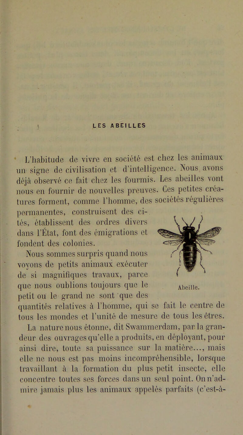 * L’habitude de vivre en société est chez les animaux un signe de civilisation et d’intelligence. Nous avons déjà observé ce fait chez les fourmis. Les abeilles vont nous en fournir de nouvelles preuves. Ces petites créa- tures forment, comme riiomme, des sociétés régulières permanentes, construisent des ci- tés, établissent des ordres divers dans l’État, font des émigrations et fondent des colonies. Nous sommes surpris quand nous voyons de petits animaux exécuter de si magnifiques travaux, parce que nous oublions toujours que le petit ou le grand ne sont que des quantités relatives à l’homme, qui se fait le centre de tous les mondes et l’unité de mesure de tous les êtres. La nature nous étonne, dit Swammerdam, par la gran- deur des ouvrages qu’elle a produits, en déployant, pour ainsi dire, toute sa puissance sur la matière..., mais elle ne nous est pas moins incompréhensible, lorsque travaillant à la formation du plus petit insecte, elle concentre toutes ses forces dans un seul point. Onn’ad- mire jamais plus les animaux appelés parfaits (c’est-à- Abeille.