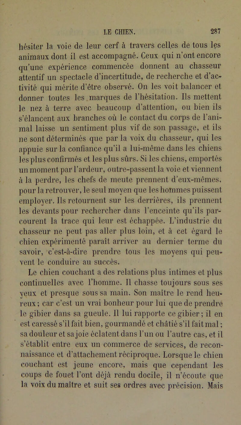 hésiter la voie de leur cerf à travers celles de tous les animaux dont il est accompagné. Ceux qui n’ont encore qu’une expérience commencée donnent au chasseur attentif un spectacle d’incertitude, de recherche et d’ac- tivité qui mérite d’être observé. On les voit balancer et donner toutes les marques de l’hésitation. Ils mettent le nez à terre avec beaucoup d’attention, ou bien ils s’élancent aux branches où le contact du corps de l’ani- mal laisse un sentiment plus vif de son passage, et ils ne sont déterminés que par la voix du chasseur, qui les appuie sur la confiance qu’il a lui-même dans les chiens les plus confirmés et les plus sûrs. Si les chiens, emportés un moment par l’ardeur, outre-passent la voie et viennent à la perdre, les chefs de meute prennent d’eux-mêmes, pour la retrouver, le seul moyen que les hommes puissent employer. Ils retournent sur les derrières, ils prennent les devants pour rechercher dans l’enceinte qu’ils par- courent la trace qui leur est échappée. L’industrie du chasseur ne peut pas aller plus loin, et à cet égard le chien expérimenté paraît arriver au dernier terme du savoir, c’est-à-dire prendre tous les moyens qui peu- vent le conduire au succès. Le chien couchant a des relations plus intimes et plus continuelles avec l’homme. Il chasse toujours sous ses yeux et presque sous sa main. Son maître le rend heu- reux ; car c’est un vrai bonheur pour lui que de prendre le gibier dans sa gueule. Il lui rapporte ce gibier; il en est caressé s’il fait bien, gourmandé et châtié s’il fait mal ; sa douleur et sa joie éclatent dans l’un ou l’autre cas, et il s’établit entre eux un commerce de services, de recon- naissance et d’attachement réciproque. Lorsque le chien couchant est jeune encore, mais que cependant les coups de fouet l’ont déjà rendu docile, il n’écoute que la voix du maître et suit ses ordres avec précision. Mais