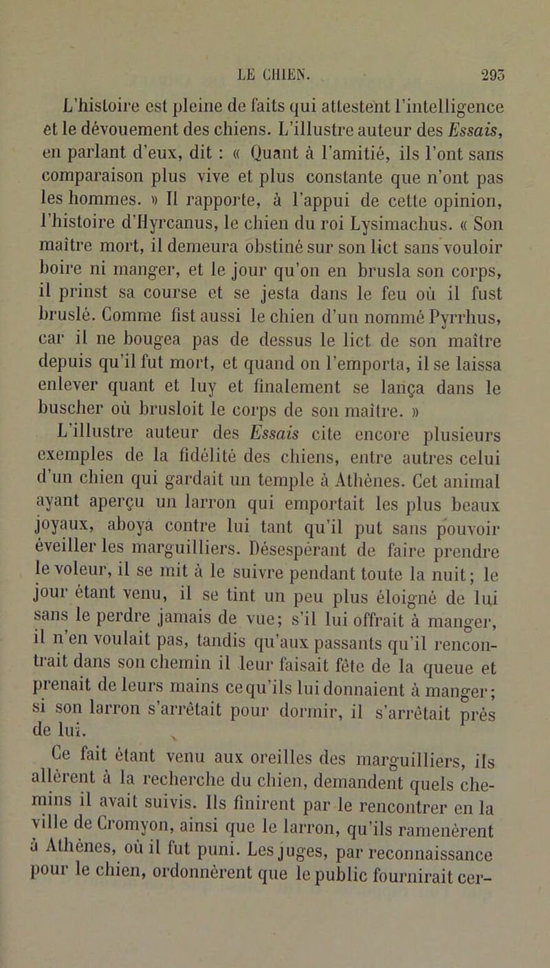 L’hisloire est pleine de faits qui attestent l’intelligence et le dévouement des chiens. L’illustre auteur des Essais, en parlant d’eux, dit : « Quant à l’amitié, ils l’ont sans comparaison plus vive et plus constante que n’ont pas les hommes. » Il rapporte, à l’appui de cette opinion, l’histoire d’Hyrcanus, le chien du roi Lysimachus. « Son maître mort, il demeura obstiné sur son lict sans vouloir boire ni manger, et le jour qu’on en brusla son corps, il prinst sa course et se jesta dans le feu où il fust hrusié. Comme fist aussi le chien d’un nommé Pyrrhus, car il ne bougea pas de dessus le lict de son maître depuis qu’il fut mort, et quand on l’emporta, il se laissa enlever quant et luy et finalement se lança dans le husclier où brusioit le corps de son maître. » L’illustre auteur des Essais cite encore plusieurs exemples de la fidélité des chiens, entre autres celui d’un chien qui gardait un temple à Athènes. Cet animal ayant aperçu un larron qui emportait les plus beaux joyaux, aboya contre lui tant qu’il put sans pouvoir éveiller les marguilliers. Désespérant de faire prendre le voleur, il se mit à le suivre pendant toute la nuit; le jour étant venu, il se tint un peu plus éloigné de lui sans le perdre jamais de vue; s’il lui offrait à manger, il n en voulait pas, tandis qu’aux passants qu’il rencon- trait dans son chemin il leur faisait fêle de la queue et pienait de leurs mains ce qu’ils lui donnaient à manger; si son larron s arrêtait pour dormir, il s’arrêtait prés de lui. Ce fait étant venu aux oreilles des marguilliers, ils allèrent à la recherche du chien, demandent quels che- mins il avait suivis. Ils finirent par le rencontrer en la ville de Ciomyon, ainsi que le larron, qu’ils ramenèrent à Athènes, où il fut puni. Les juges, par reconnaissance poui le chien, ordonnèrent que le public fournirait cer-