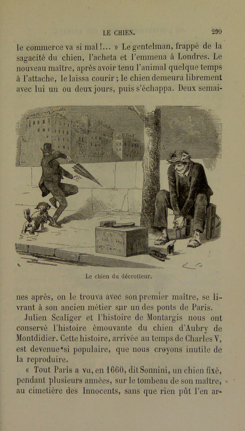 le commerce va si mal!... » Legentelman, frappé de la sagacité du chien, l’acheta et l’emmena à Londres. Le nouveau maître, après avoir tenu l’animal quelque temps à l’attache, le laissa courir; le chien demeura librement avec lui un ou deux jours, puis s’échappa. Deux semai- Le chien du décrotteur. lies après, on le trouva avec son premier maître, se li- vrant à son ancien métier sur un des ponts de Paris. Julien Scaliger et l’histoire de Montargis nous ont conservé l’iiistoire émouvante du chien d’Aubry de Montdidier. Cette histoire, arrivée au temps de Charles V, est devenue *si populaire, que nous croyons inutile de la reproduire. « Tout Paris a Vu, en 1600, ditSonnini, un chien fixé, pendant plusieurs années, sur le tombeau de son maître, au cimetière des Innocents, sans que rien pût l’en ar-