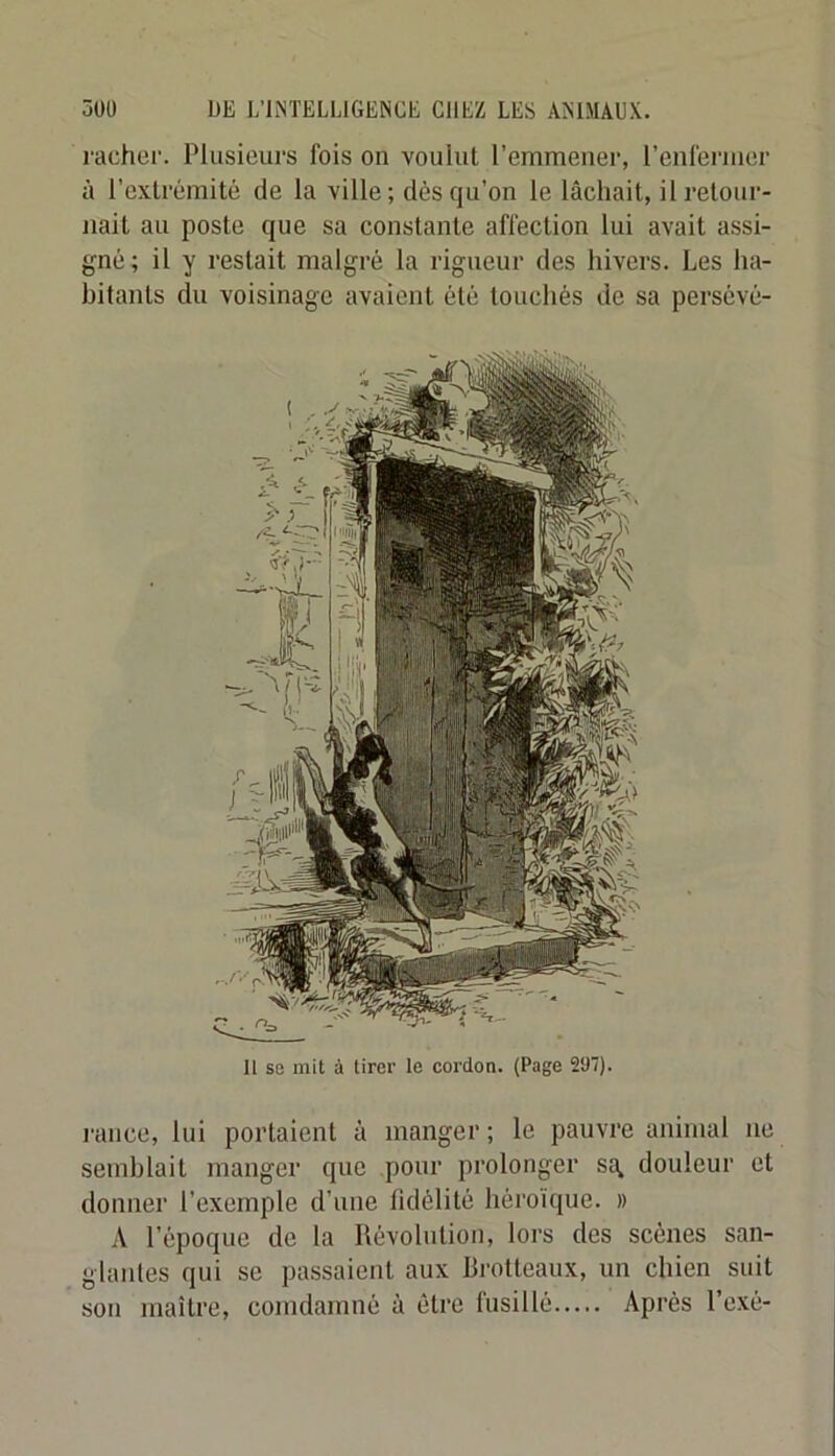 rachei'. Plusieurs fois on voulut l’emmener, l’enleriiier à l’extrémité de la ville; dès qu’on le lâchait, il retour- nait au poste que sa constante affection lui avait assi- gné; il y restait malgré la rigueur des hivers. Les ha- bitants du voisinage avaient été touchés de sa persévé- 11 se mit à tirei’ le cordon. (Page 2U7). rance, lui portaient à manger ; le pauvre animal ne semblait manger que pour prolonger sa, douleur et donner l’exemple d’une fidélité héroïque. » A l’époque de la Révolution, lors des scènes san- glantes qui se passaient aux Rrotteaux, un chien suit son maître, comdamné à être fusillé Après l’exé-