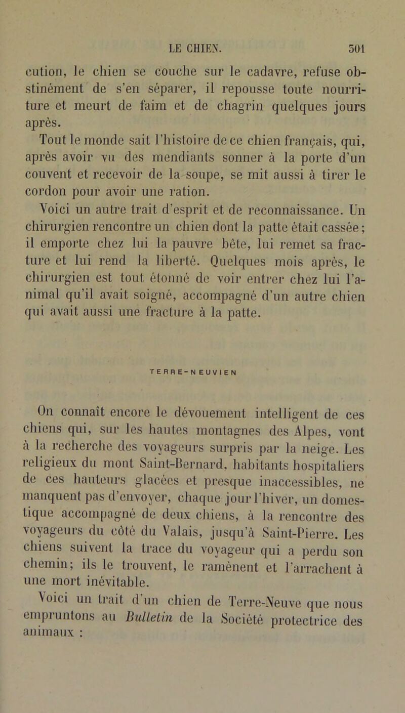 cution, le chien se couche sur le cadavre, refuse oh- stinément de s’en séparer, il repousse toute nourri- ture et meurt de faim et de chagrin quelques jours après. Tout le monde sait l’histoire de ce chien français, qui, après avoir vu des mendiants sonner à la porte d’un couvent et recevoir de la soupe, se mit aussi à tirer le cordon pour avoir une ration. Voici un autre trait d’esprit et de reconnaissance. Un chirurgien rencontre un chien dont la patte était cassée ; il emporte chez lui la pauvre bête, lui remet sa frac- ture et lui rend la liberté. Quelques mois après, le chirurgien est tout étonné de voir entrer chez lui l’a- nimal qu’il avait soigné, accompagné d’un autre chien qui avait aussi une fracture à la patte. TERRE-NEUVIEN On connaît encore le dévouement intelligent de ces chiens qui, sur les hautes montagnes des Alpes, vont à la recherche des voyageurs surpris par la neige. Les religieux du mont Saint-Bernard, habitants hospitaliers de ces hauteurs glacées et presque inaccessibles, ne manquent pas d’envoyer, chaque jour l’hiver, un domes- tique accompagné de deux chiens, à la rencontre des voyageurs du côté du Valais, jusqu’à Saint-Pierre. Les chiens suivent la trace du voyageur qui a perdu son chemin; ils le trouvent, le ramènent et l’arrachent à une mort inévitable. Voici un trait d un chien de Teri'e-Neuve que nous empiuntons au Bulletin de la Société protectrice des animaux :