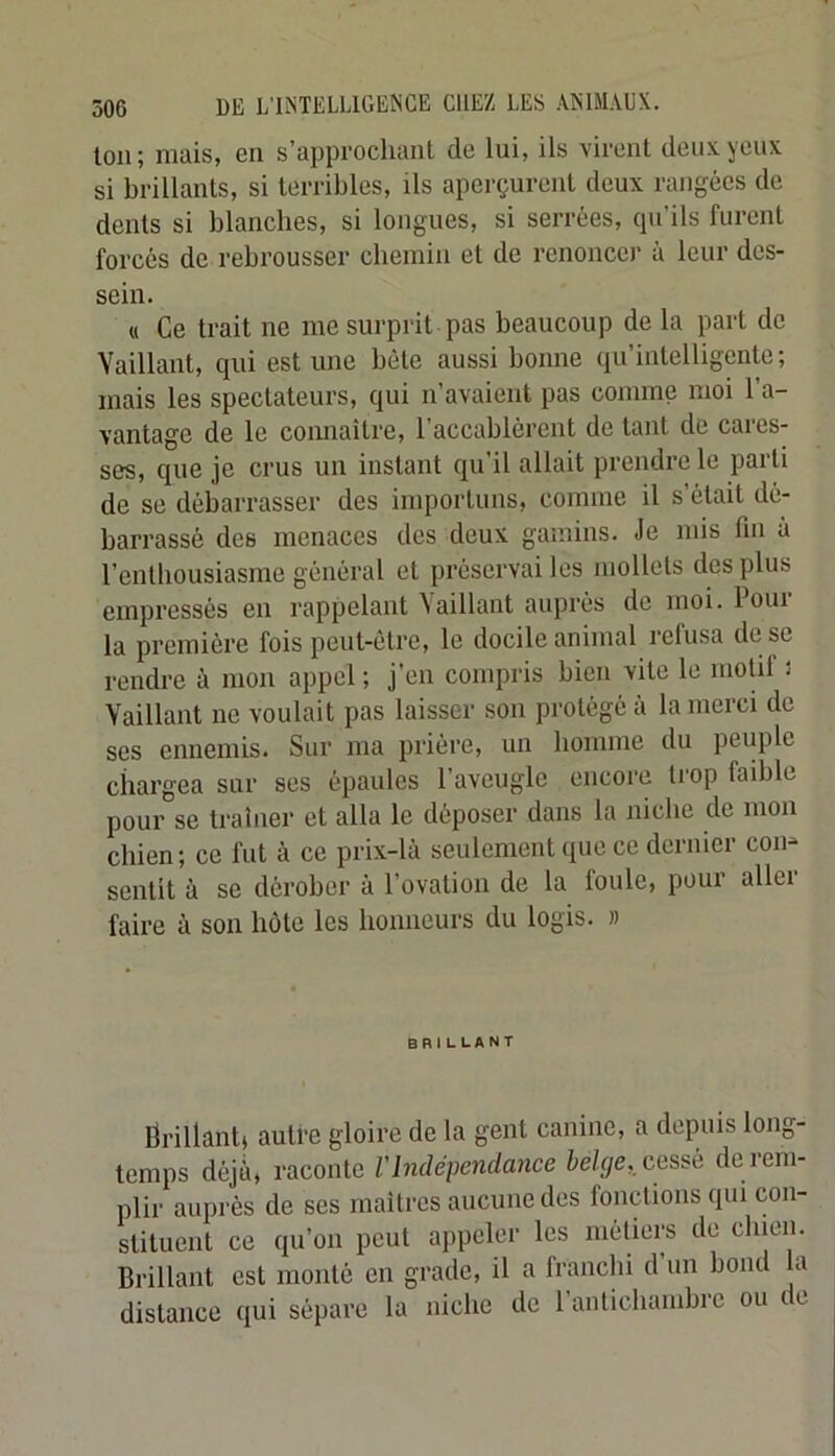 ton; mais, en s’approchant de lui, ils virent deu.vycux si brillants, si terribles, ils aperçurent deux rangées de dents si blanches, si longues, si serrées, qu’ils furent forcés de rebrousser chemin et de renoncer à leur des- sein. U Ce trait ne me surprit pas beaucoup de la part de Vaillant, qui estime bête aussi bonne qu’intelligente; mais les spectateurs, qui n avaient pas comme moi 1 a- vantage de le comiaître, l’accablèrent de tant de cares- ses, que je crus un instant qu’il allait prendre le parti de se débarrasser des importuns, comme il s’était dé- barrassé des menaces des deux gamins. Je mis fin à l’enthousiasme général et préservai les mollets des plus empressés en rappelant \aillant auprès de moi. loui la première fois peut-être, le docile animal refusa de se rendre à mon appel ; j’en compris bien vite le motil î Vaillant ne voulait pas laisser son protégé à la merci de ses ennemis. Sur ma prière, un homme du peuple chargea sur ses épaules l’aveugle encore trop faible pour se traîner et alla le déposer dans la niche de mon chien; ce fut à ce prix-là seulement que ce dernier con- sentit à se dérober à l’ovation de la foule, pour aller faire à son hôte les honneurs du logis. » BRILLANT brillant» autre gloire de la gent canine, a depuis long- temps déjà, raconte l'Indépendance belge, cessé de i em- plir auprès de scs maitres aucune des fonctions qui con- stituent ce qu’on peut appeler les métiers de chien. Brillant est monté en grade, il a franchi d’un bond la distance qui sépare la niche de rantichambre ou le