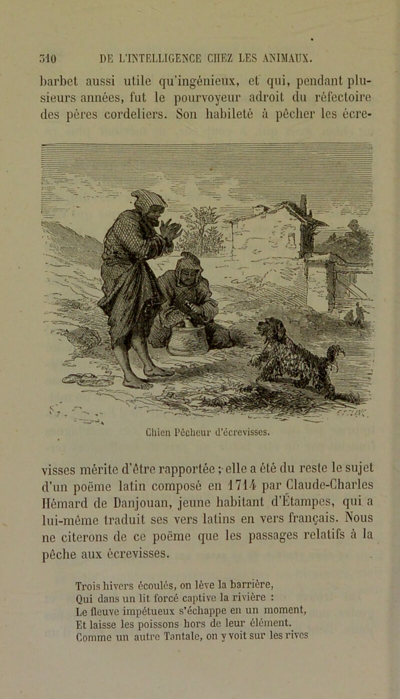 l)arbet aussi utile qu’ingénieux, et qui, pendant plu- sieurs années, fut le pourvoyeur adroit du réfectoire des pères Cordeliers. Son habileté à pêcher les écrc- Chien Pêcheur d’écrevisses. visses mérite d’être rapportée ; elle a été du reste le sujet d’un poëme latin composé en 1714 par Claude-Charles llémard de Danjouan, jeune habitant d’Étampes, qui a lui-même traduit ses vers latins en vers français. Nous ne citerons de ce poëme que les passages relatifs à la pêche aux écrevisses. Trois hivers écoulés, on lève la barrière, Qui dans un lit forcé captive la rivière : Le fleuve impétueux s’échappe en un moment, Et laisse les poissons hors de leur élément. Comme un autre Tantale, on y voit sur les rives